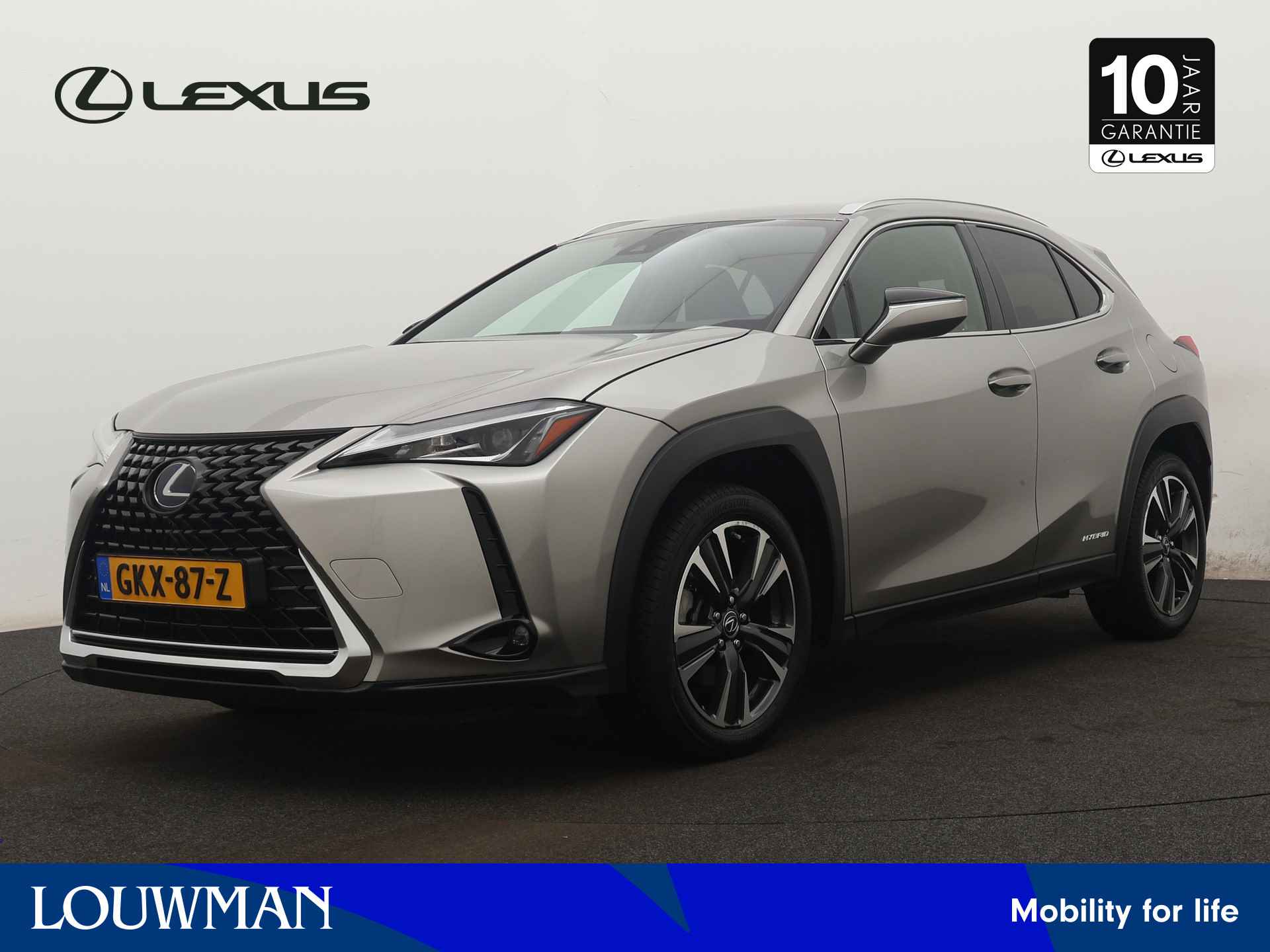 Lexus UX BOVAG 40-Puntencheck