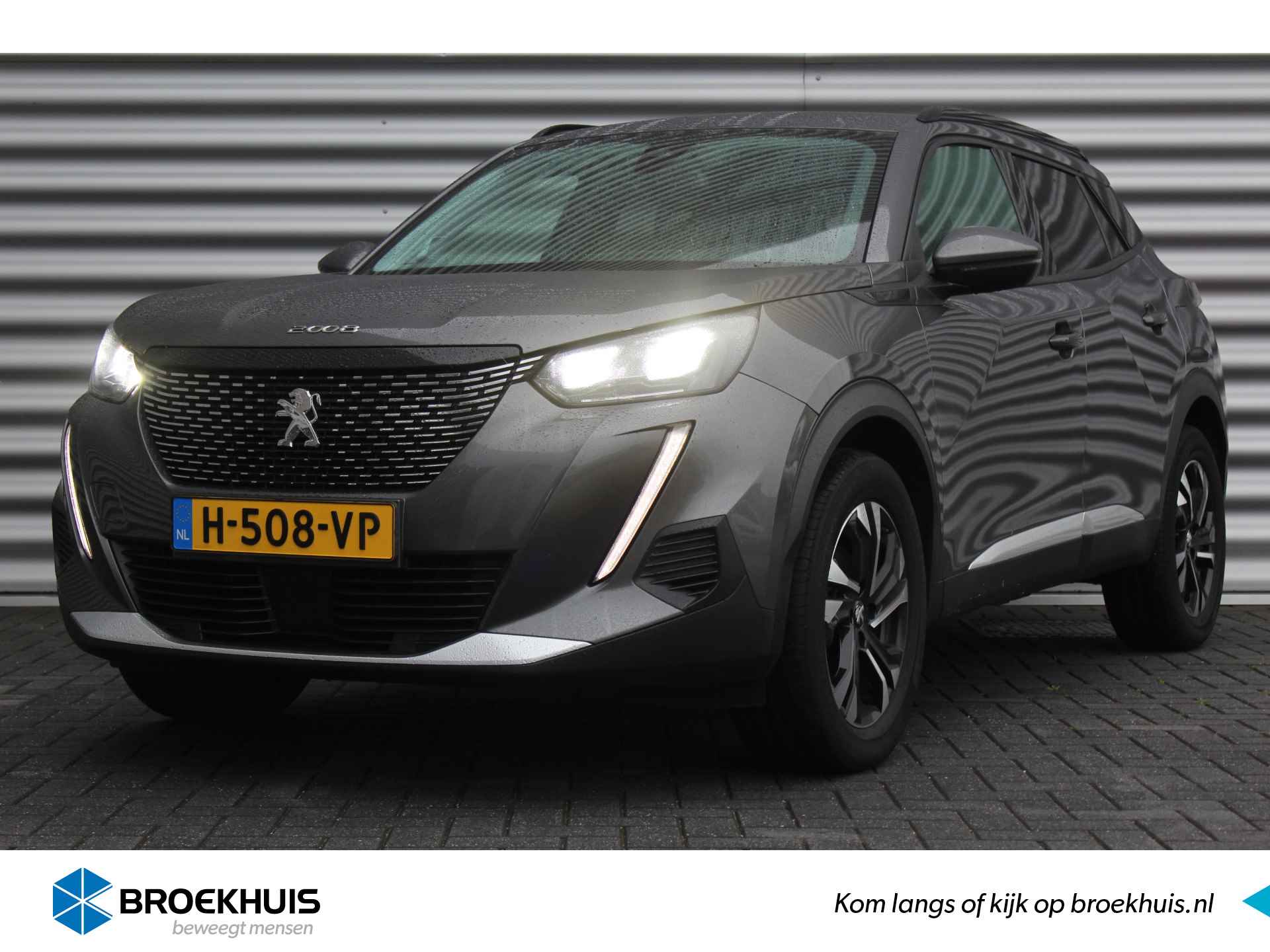 Peugeot 2008 BOVAG 40-Puntencheck