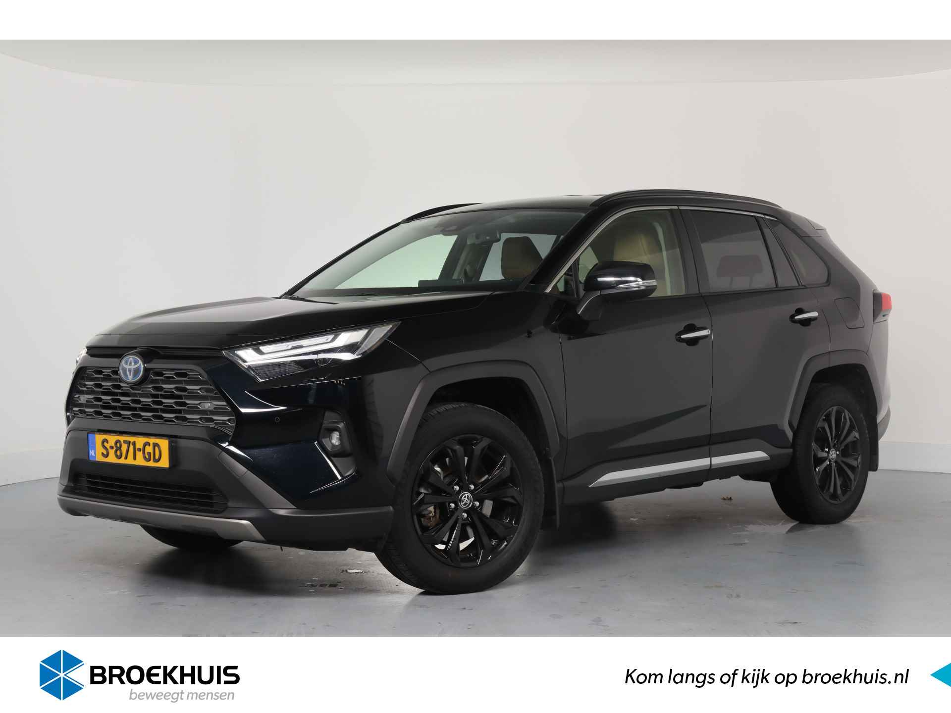 Toyota RAV4 BOVAG 40-Puntencheck