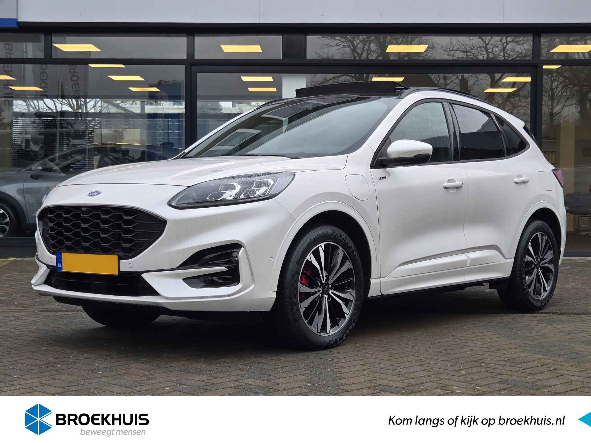 Ford Kuga BOVAG 40-Puntencheck