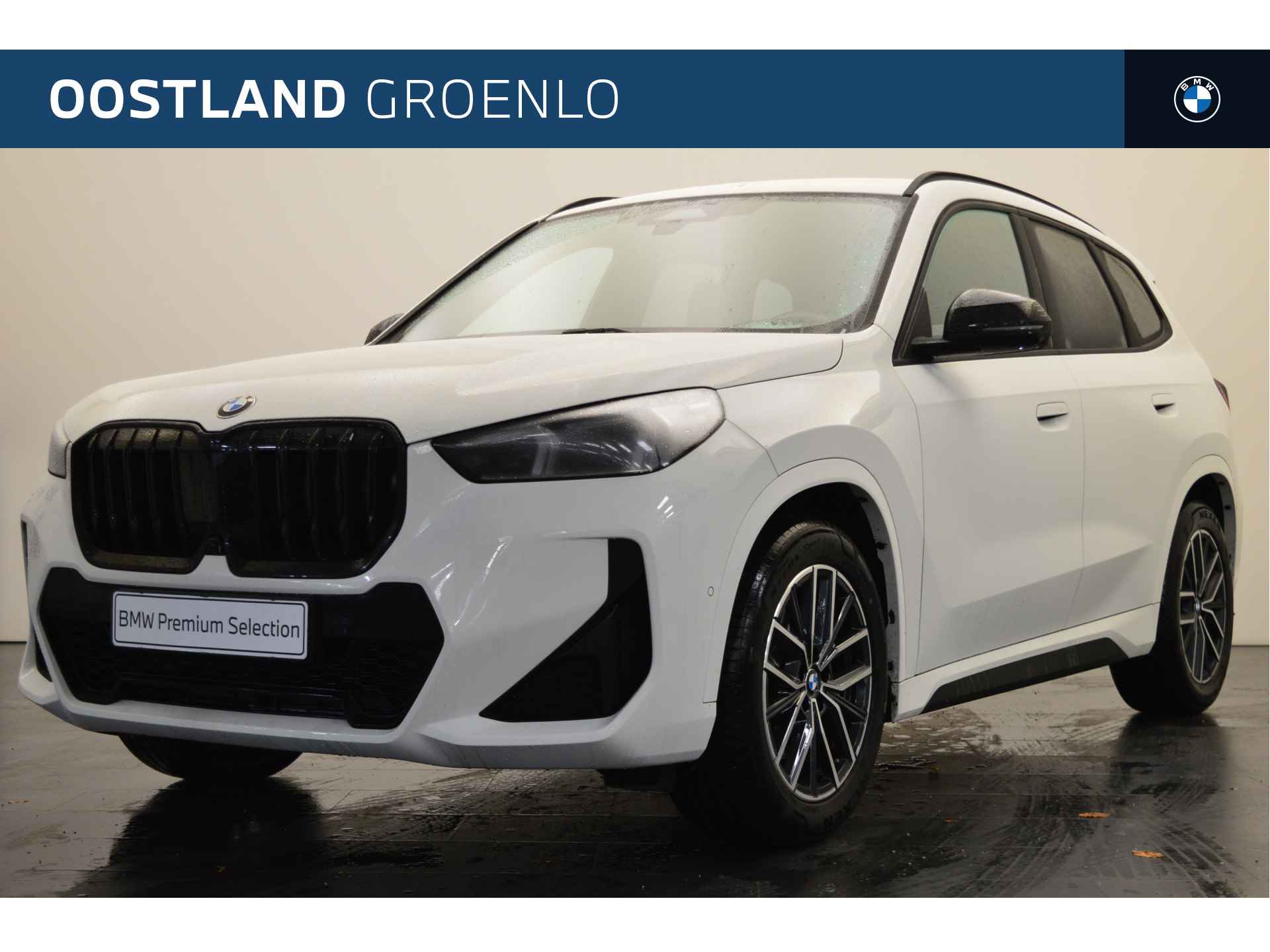 BMW X1 BOVAG 40-Puntencheck