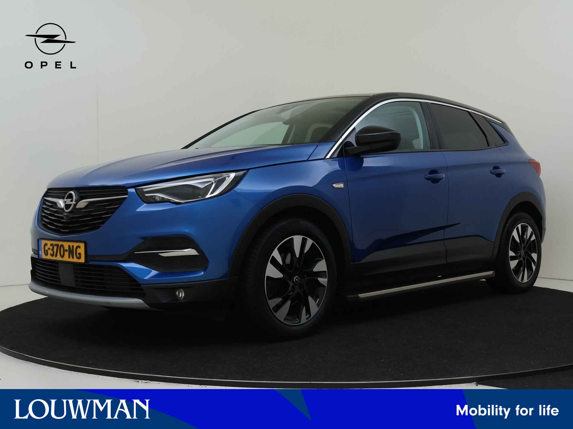 Opel Grandland X BOVAG 40-Puntencheck