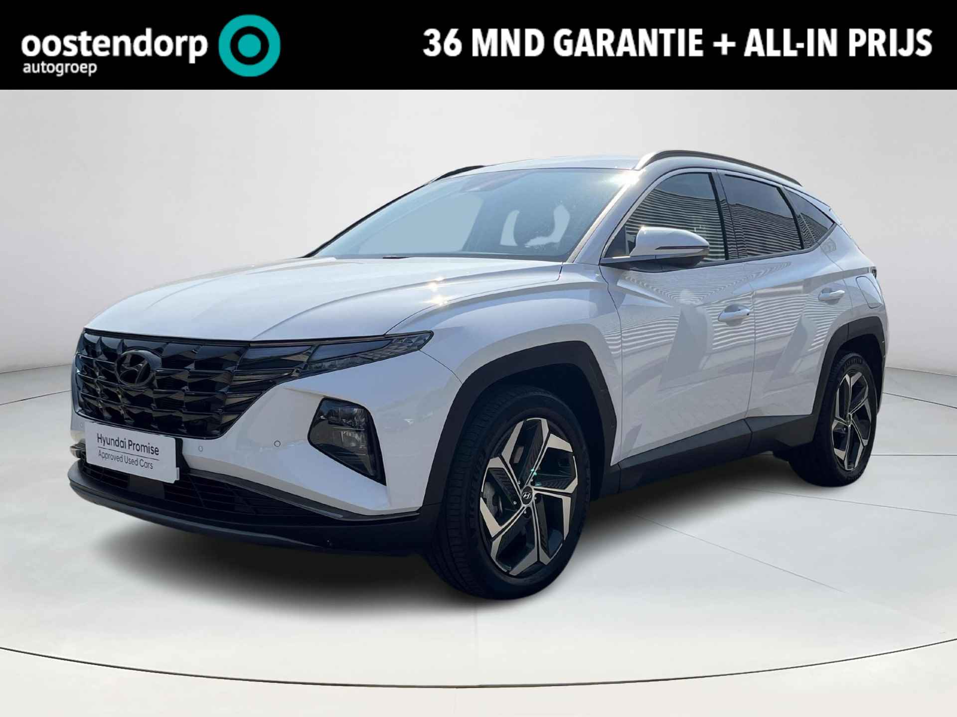 Hyundai Tucson BOVAG 40-Puntencheck