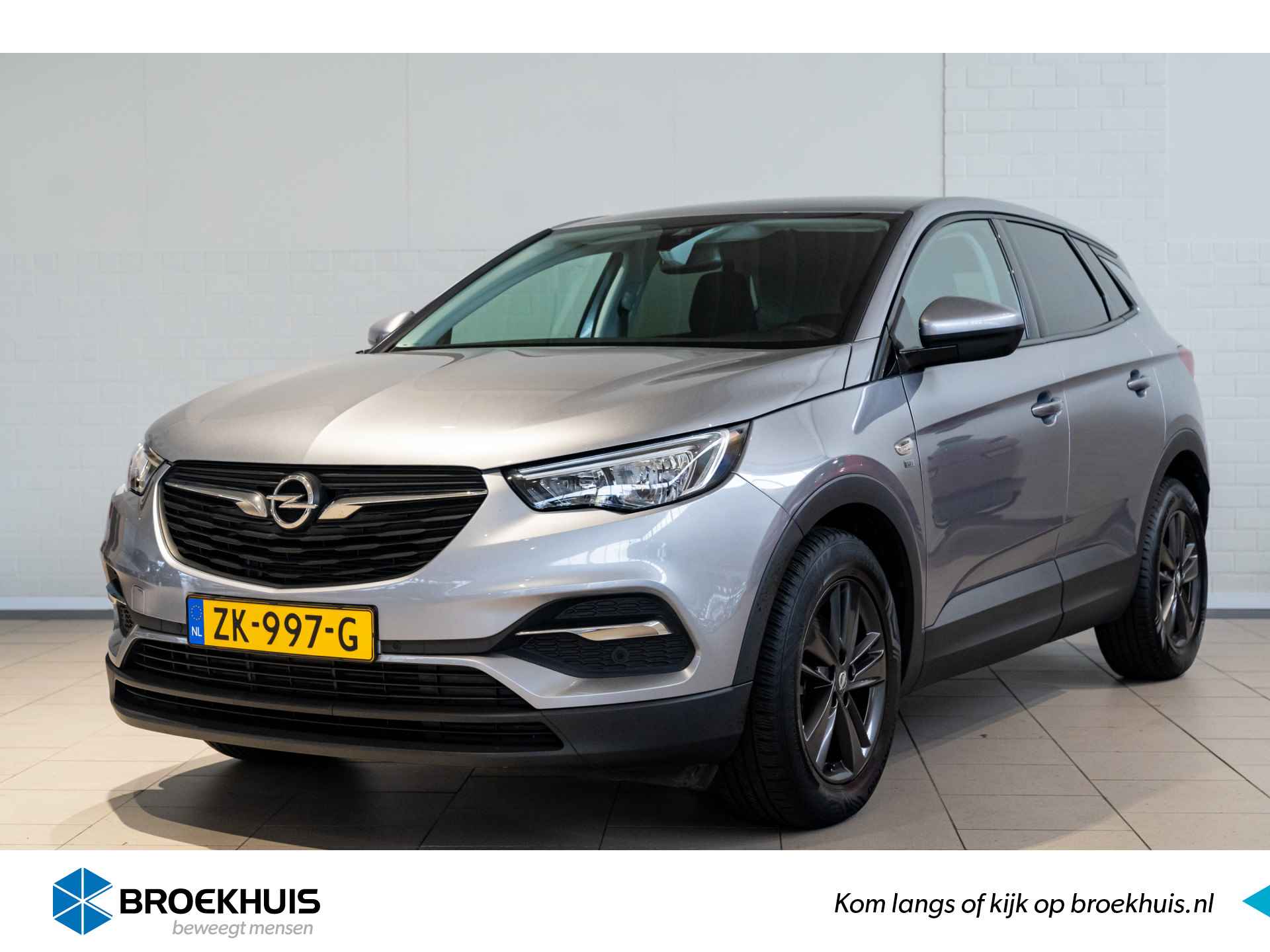 Opel Grandland X BOVAG 40-Puntencheck