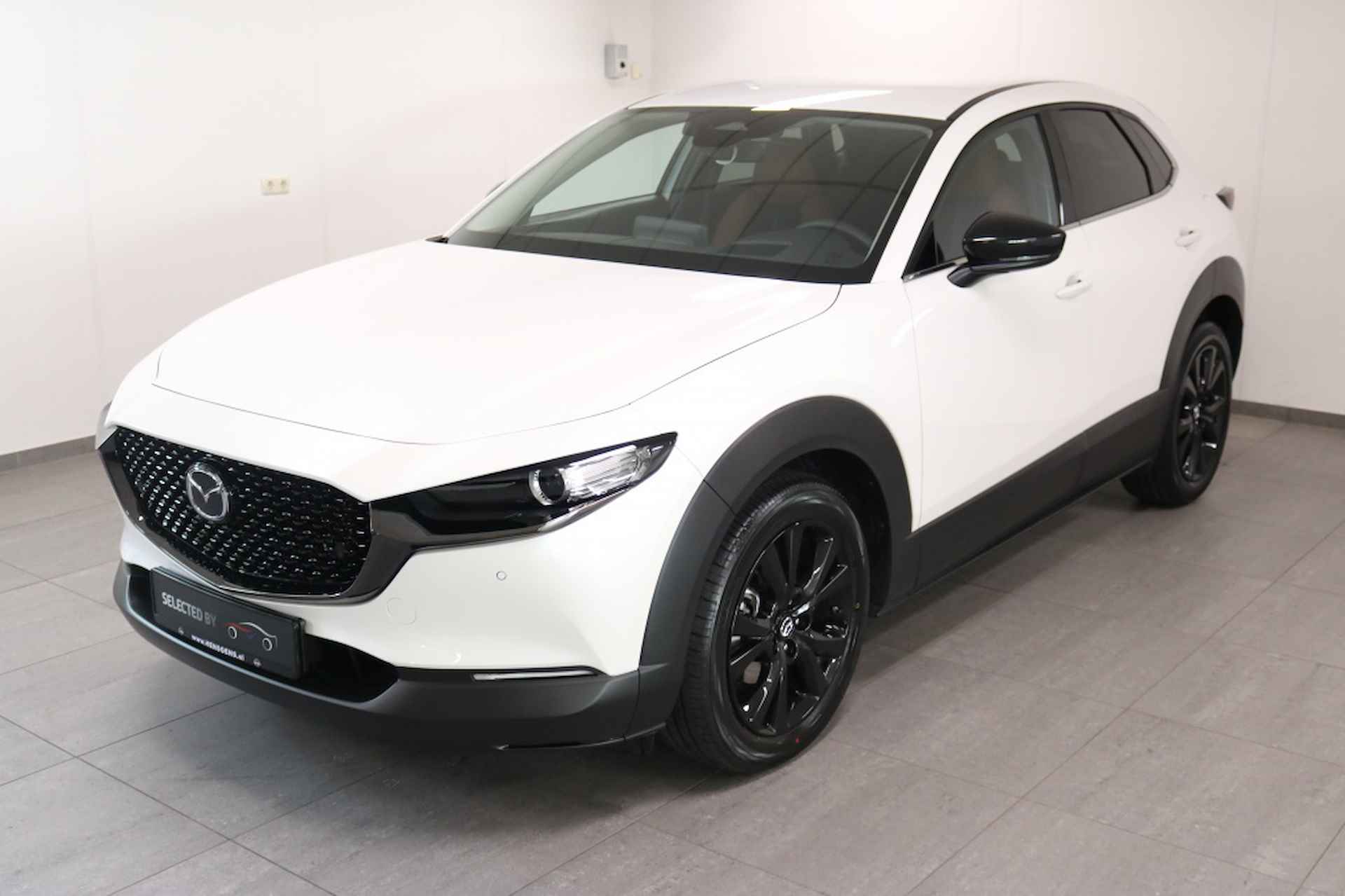 Mazda CX-30 BOVAG 40-Puntencheck