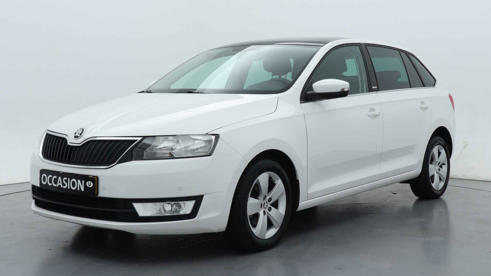 Škoda Rapid BOVAG 40-Puntencheck