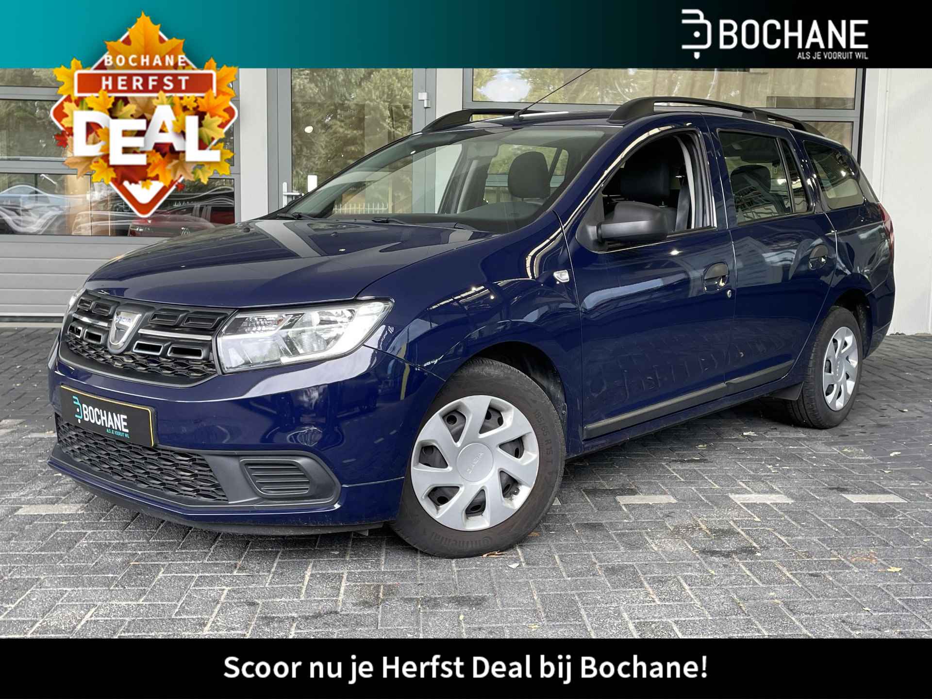 Dacia Logan BOVAG 40-Puntencheck