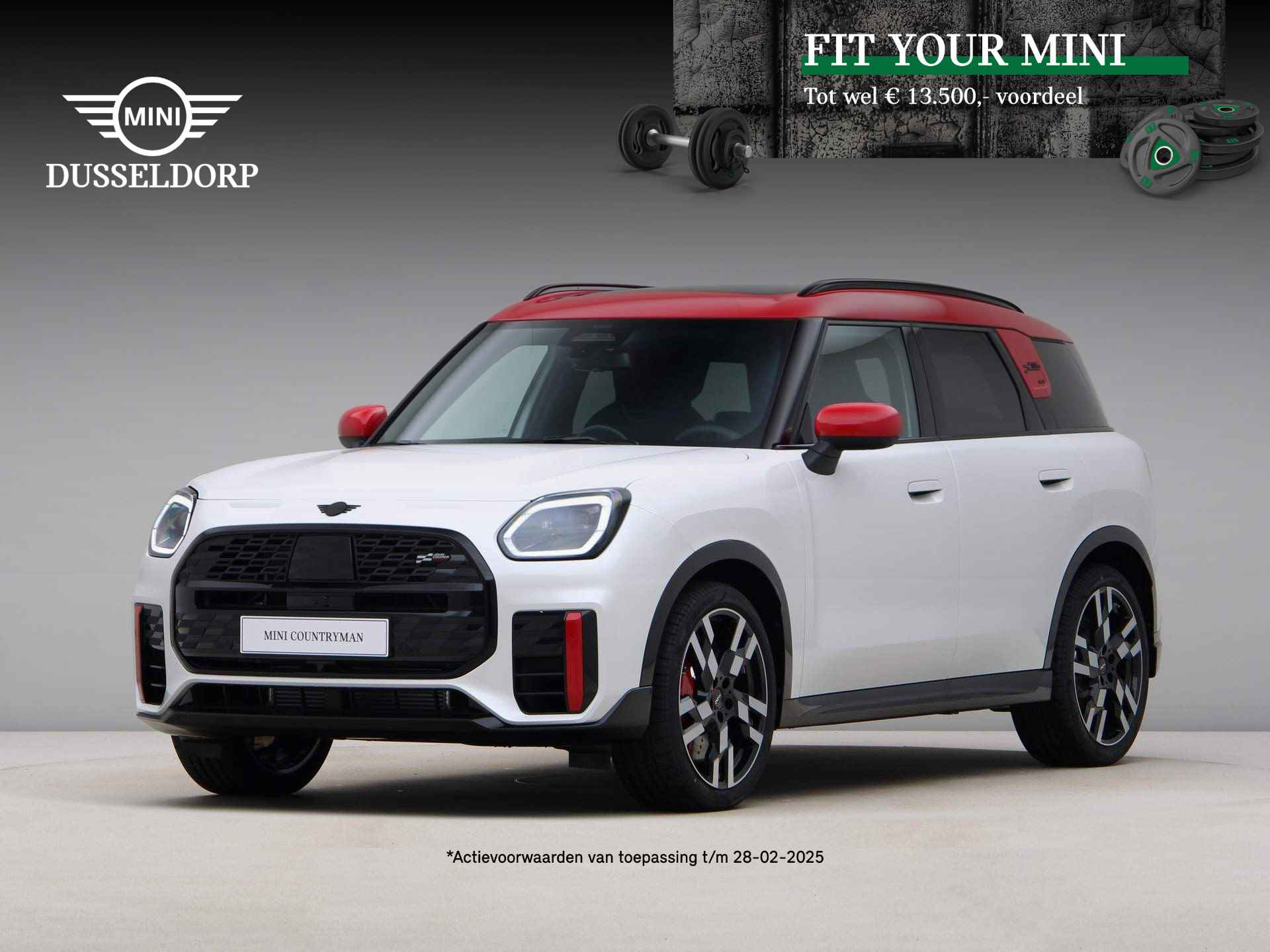 Mini Countryman