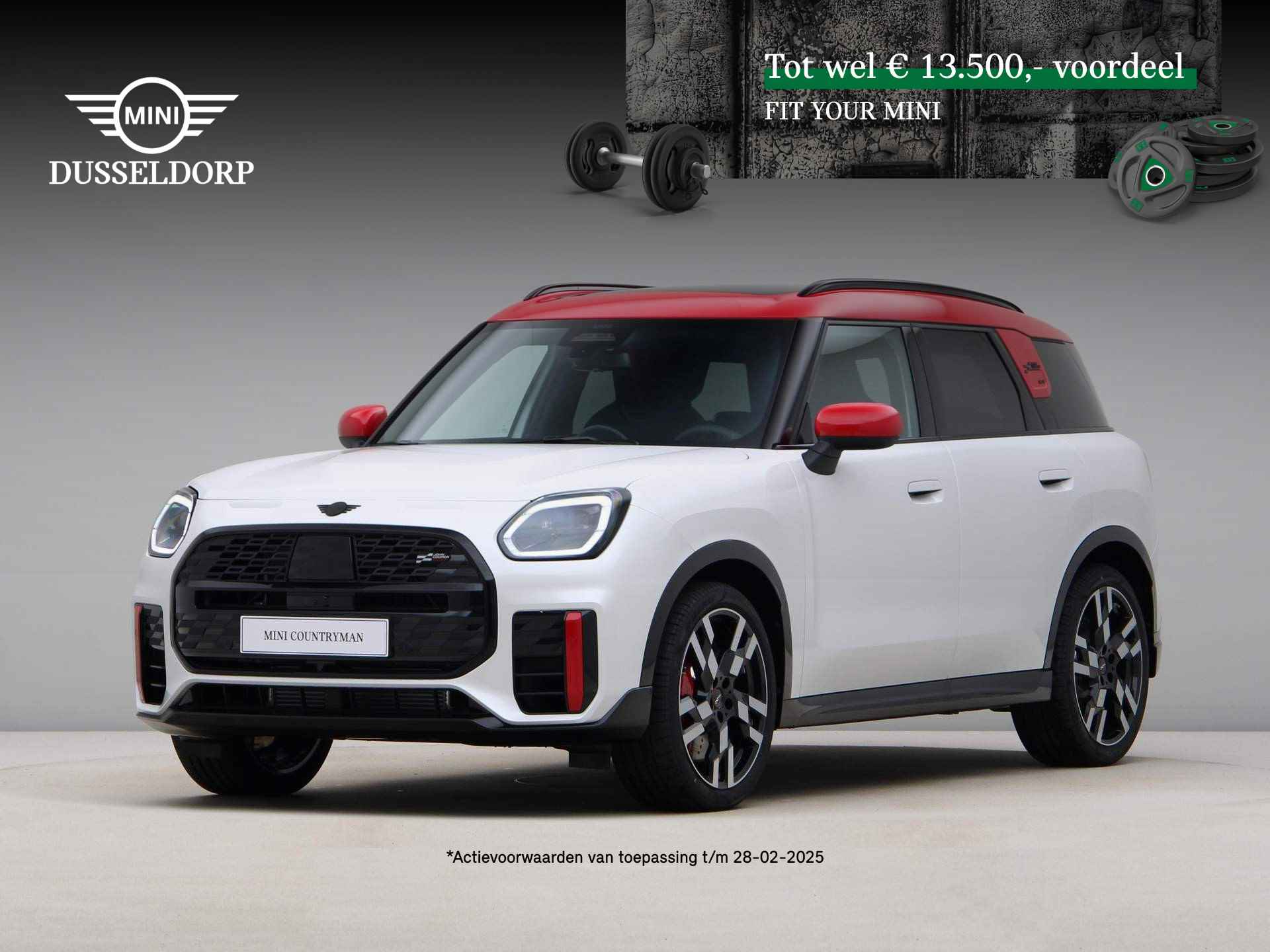 Mini Countryman