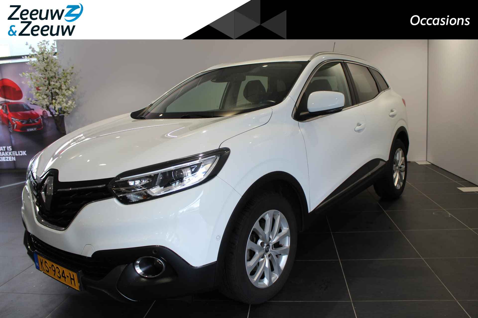 Renault Kadjar BOVAG 40-Puntencheck