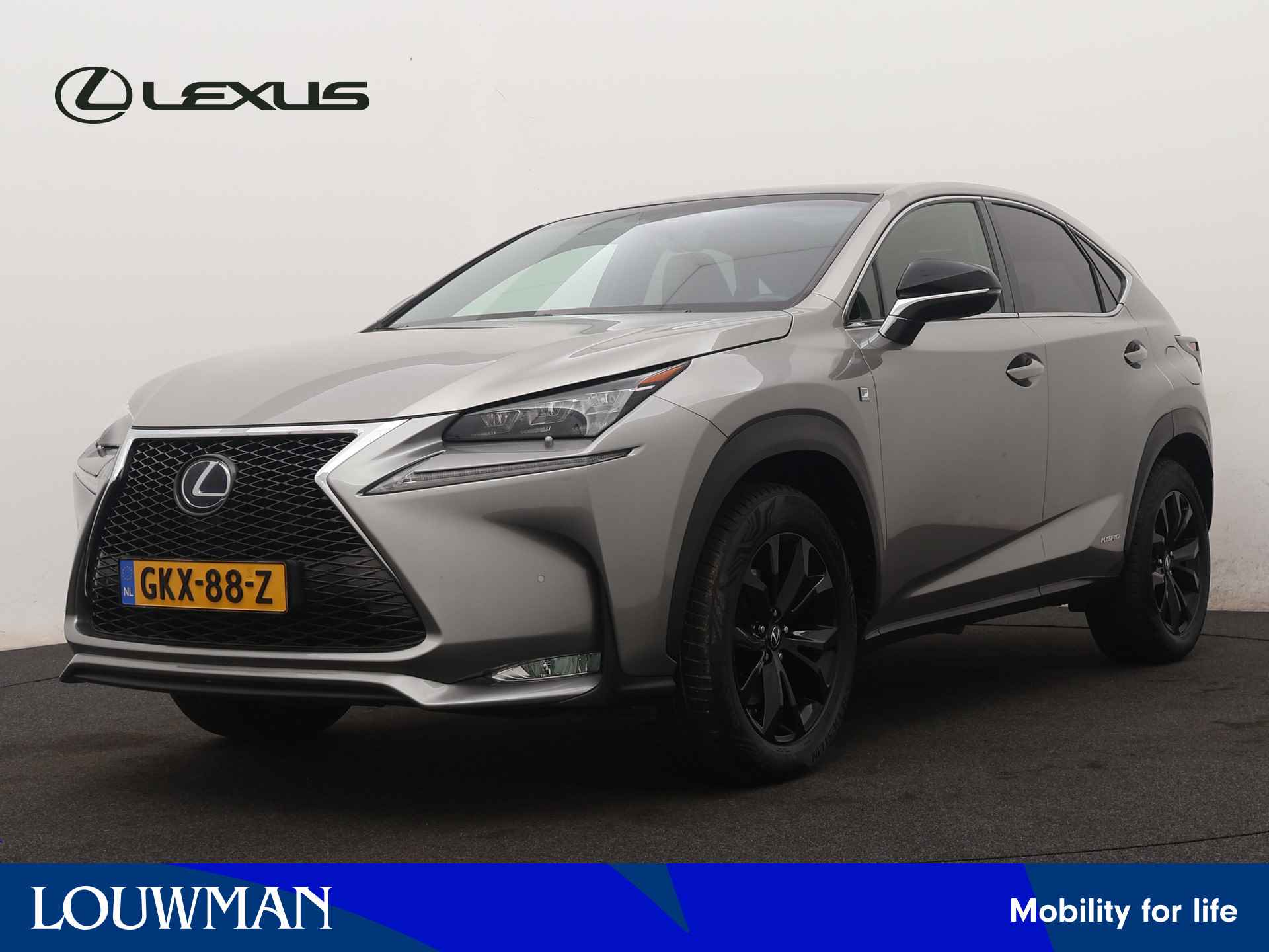 Lexus NX BOVAG 40-Puntencheck