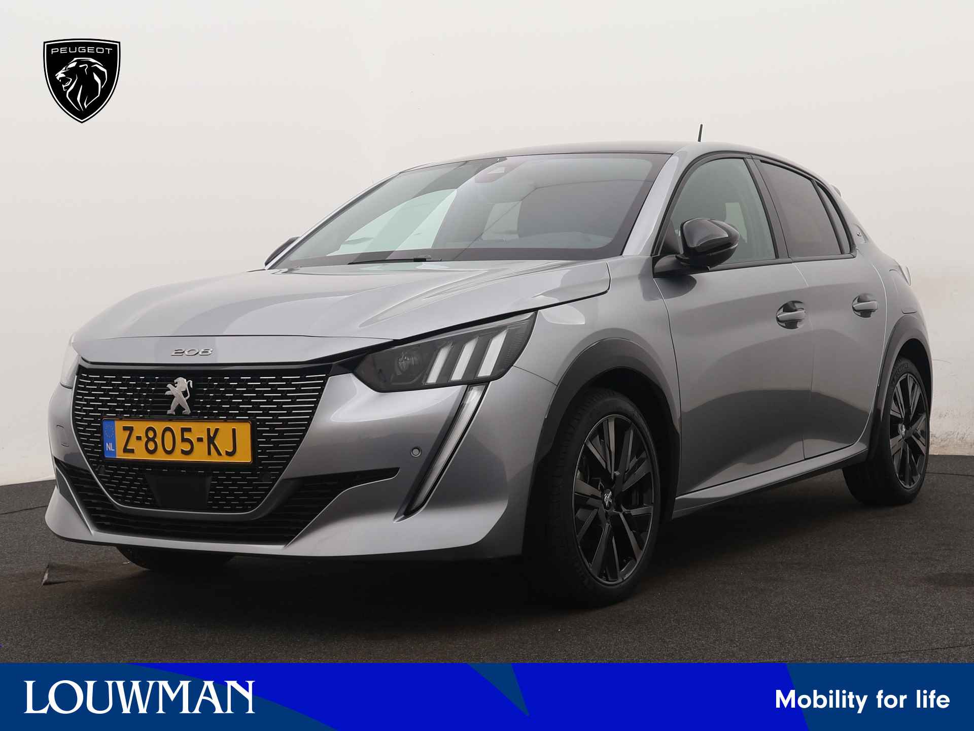 Peugeot 208 BOVAG 40-Puntencheck