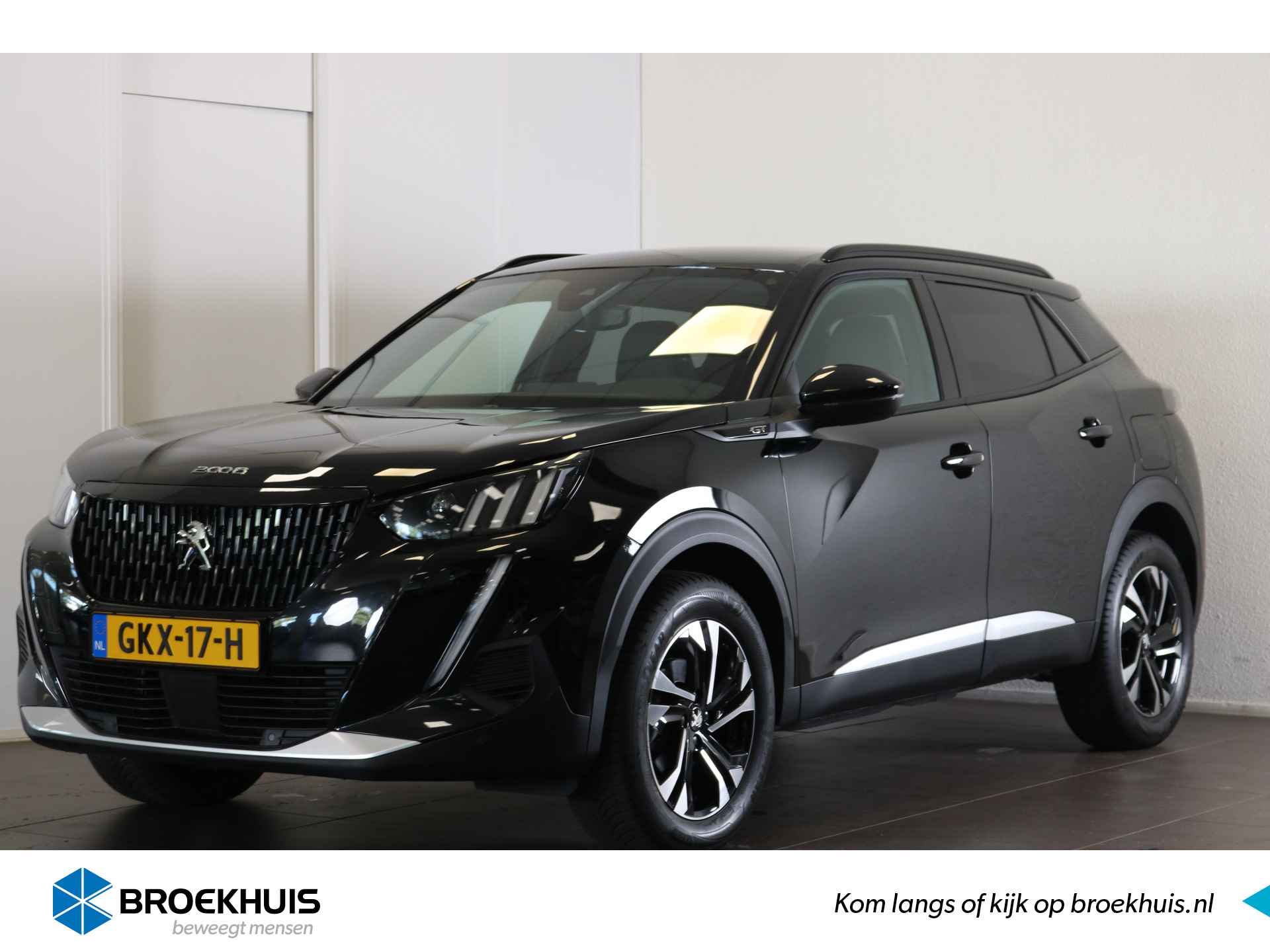 Peugeot 2008 BOVAG 40-Puntencheck