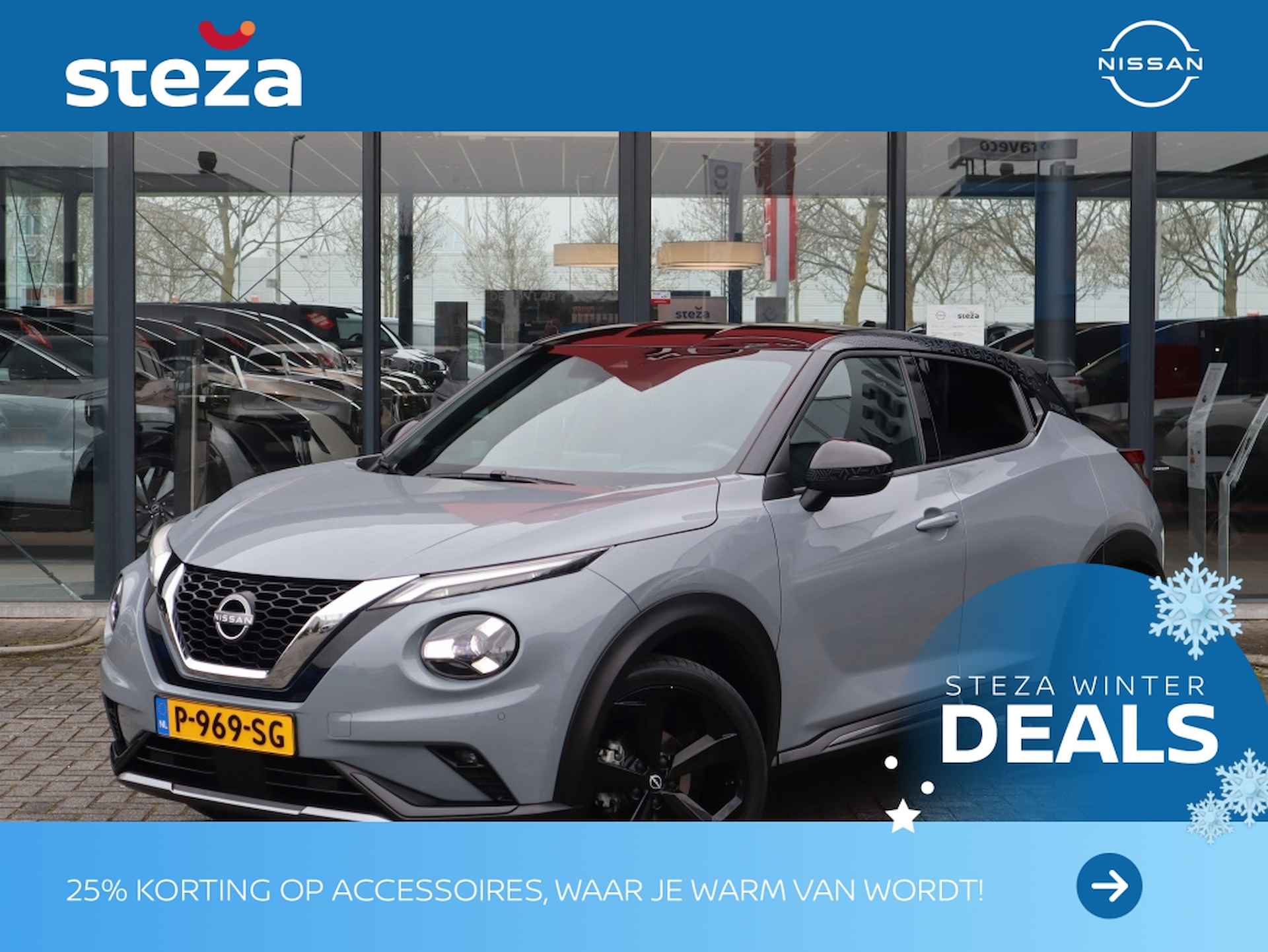 Nissan Juke BOVAG 40-Puntencheck