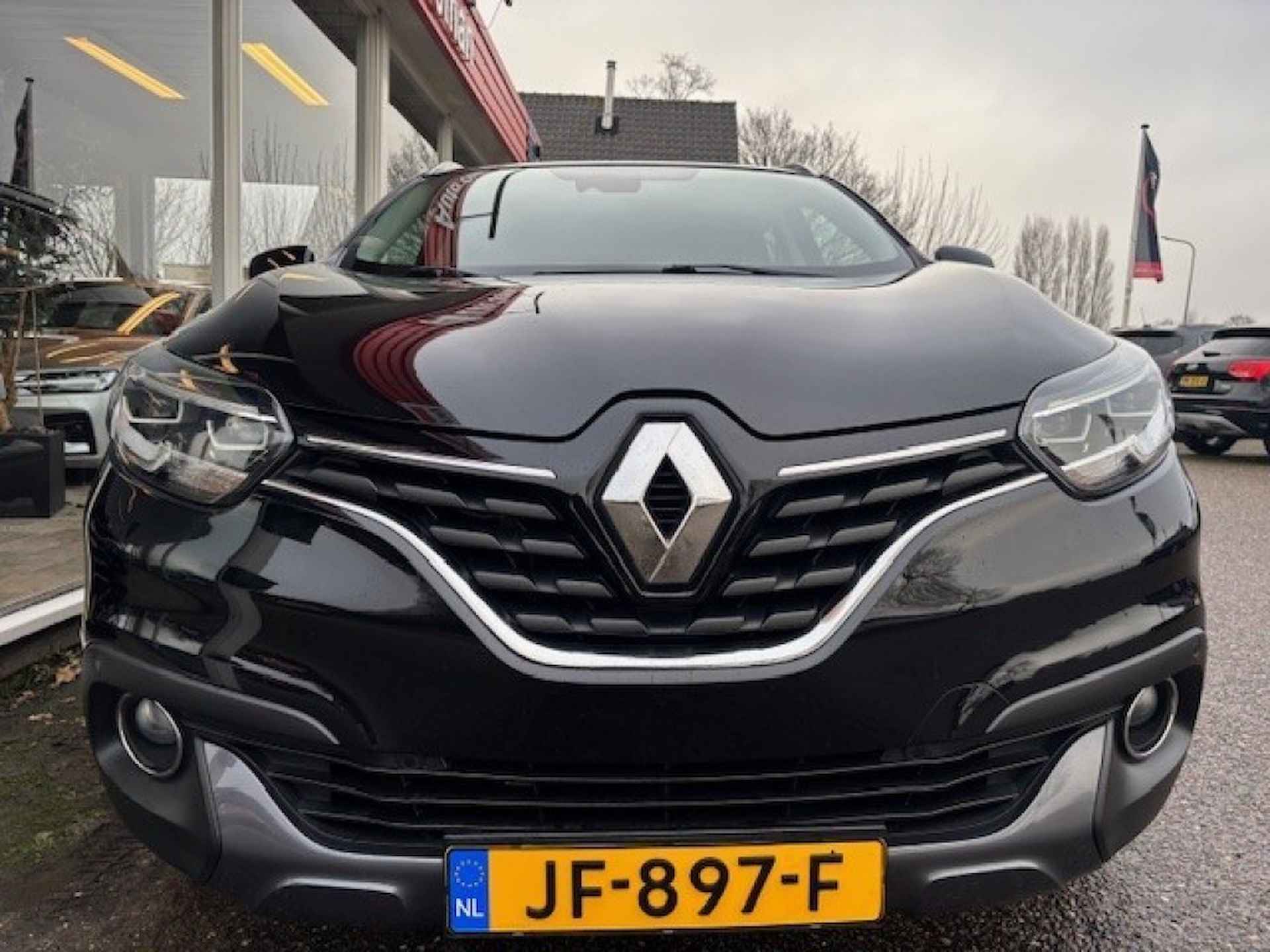 RENAULT Kadjar 1.2 TCe Bose, Clima, Navi, DAB, LED, 19 inch, trekhaak - 42/42