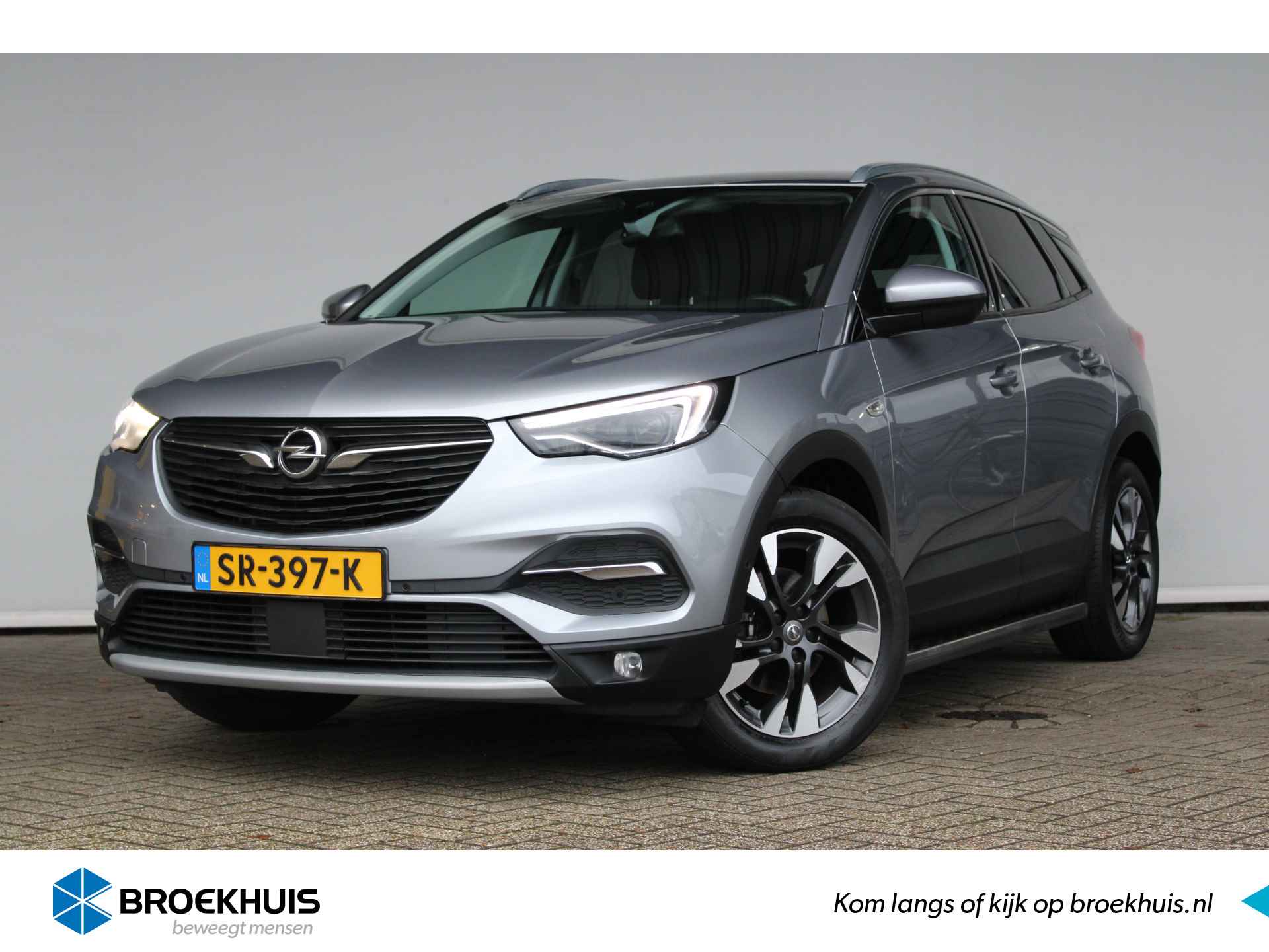 Opel Grandland X BOVAG 40-Puntencheck