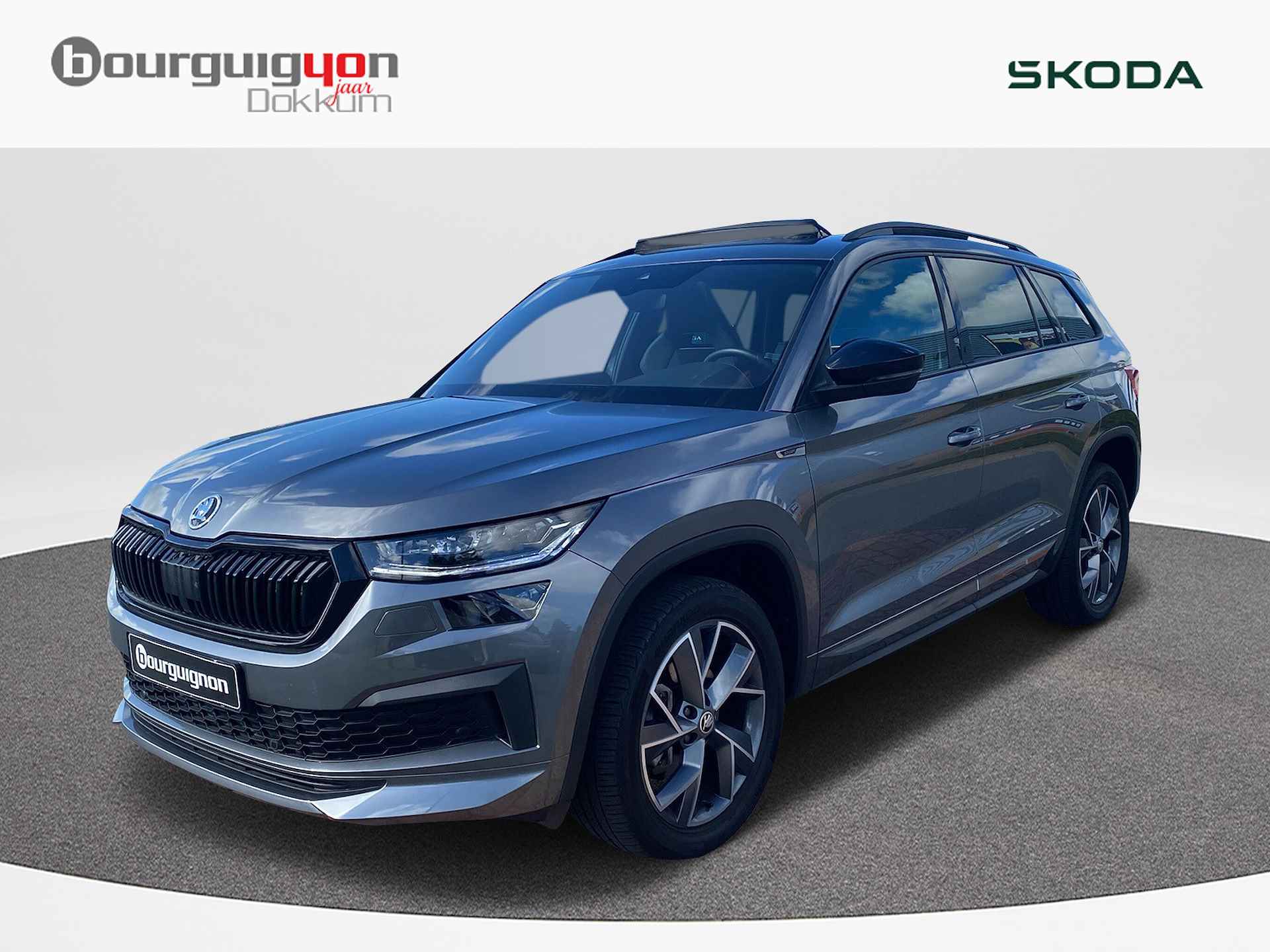 Škoda Kodiaq BOVAG 40-Puntencheck