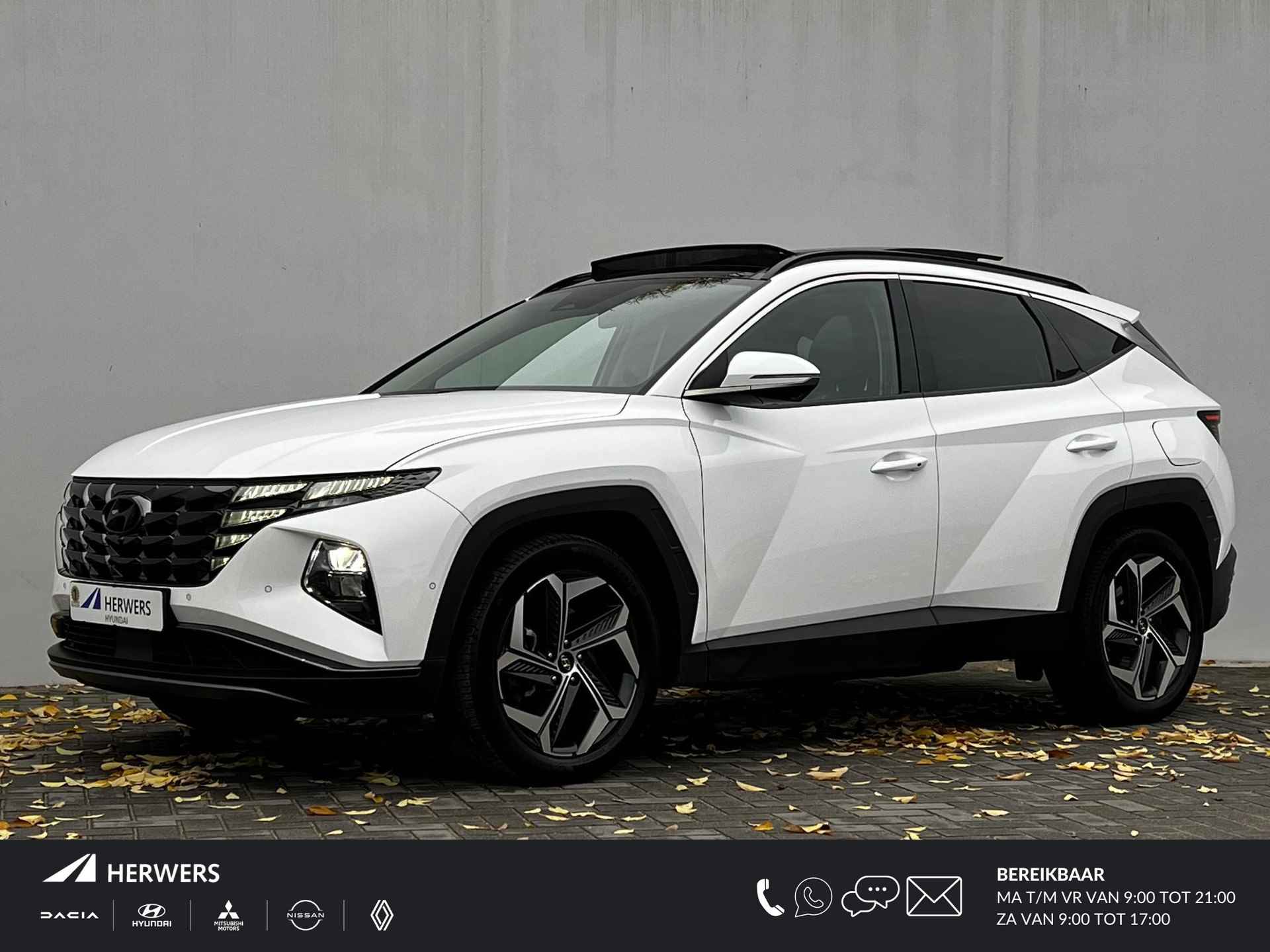 Hyundai Tucson BOVAG 40-Puntencheck