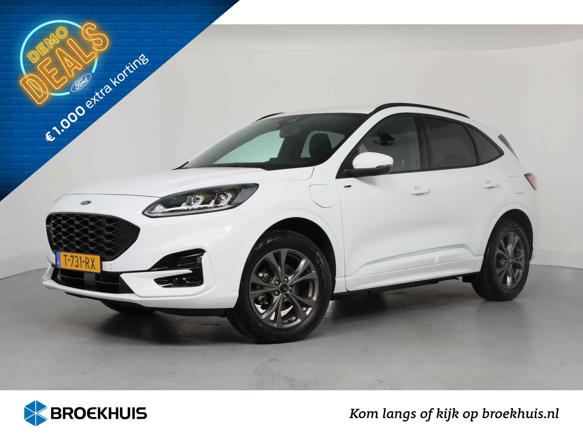 Ford Kuga BOVAG 40-Puntencheck