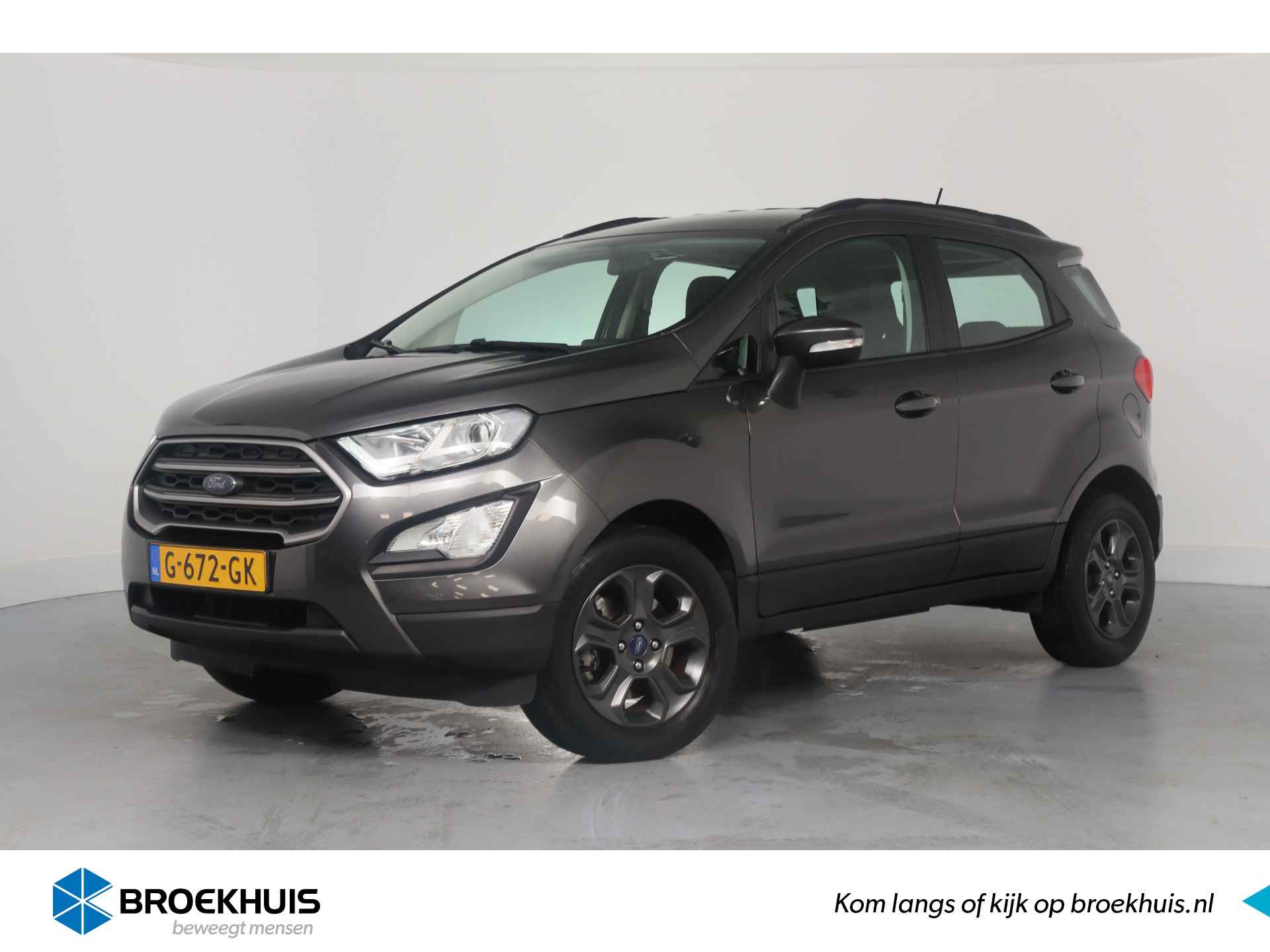 Ford EcoSport BOVAG 40-Puntencheck