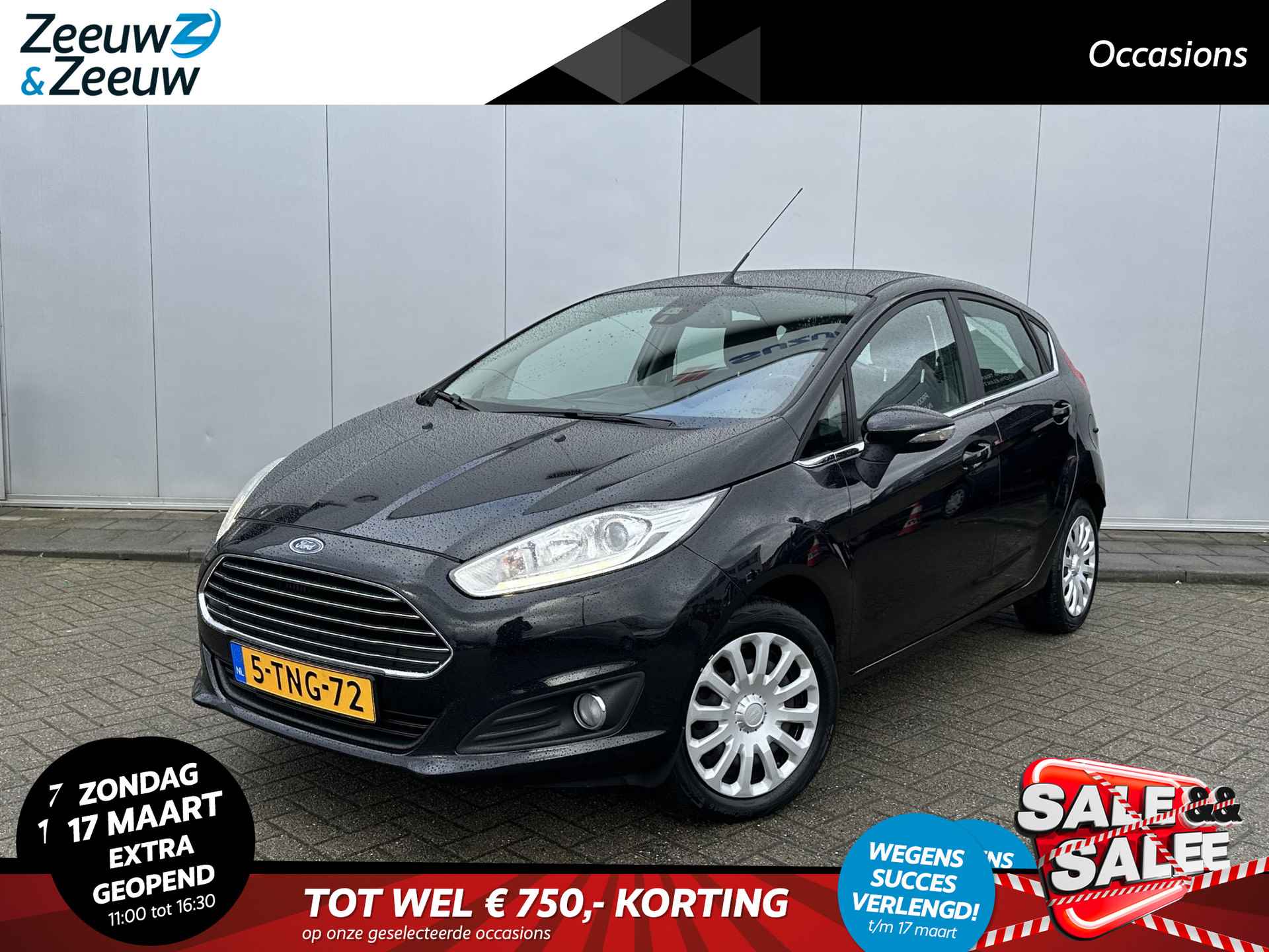 Ford Fiesta BOVAG 40-Puntencheck