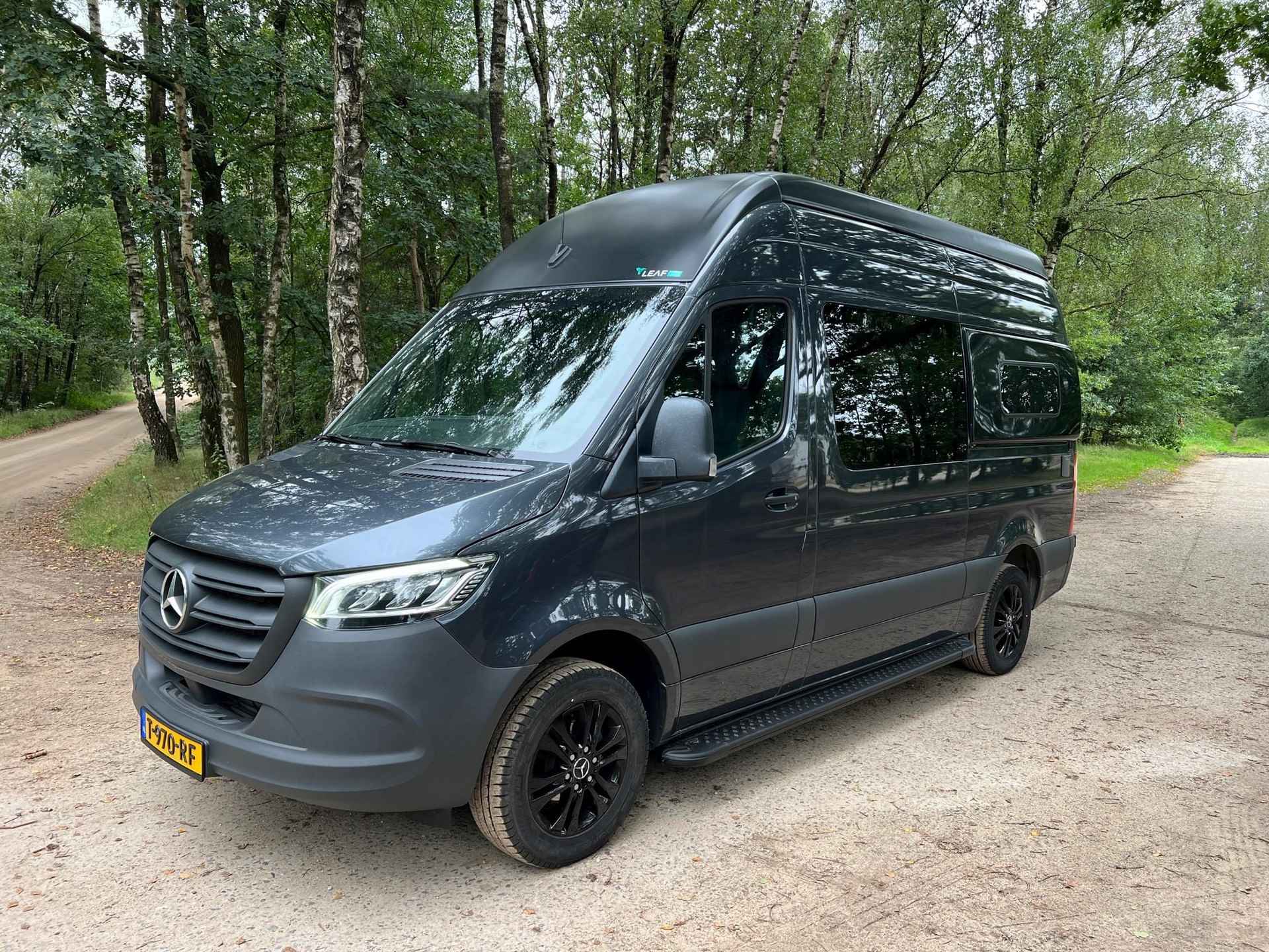 Leaf 4 Sprinter met Hefdak - 6/17