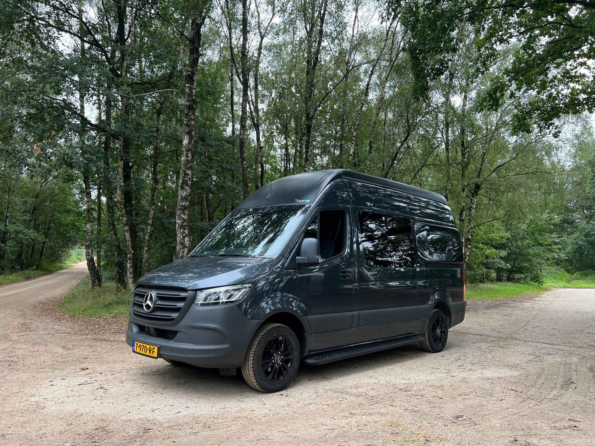 Leaf 4 Sprinter met Hefdak - 8/17