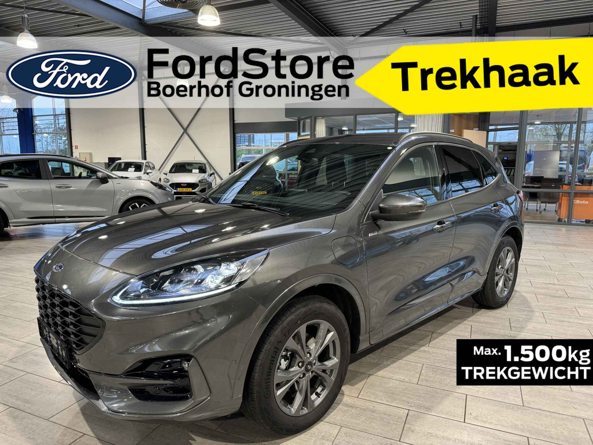 Ford Kuga BOVAG 40-Puntencheck