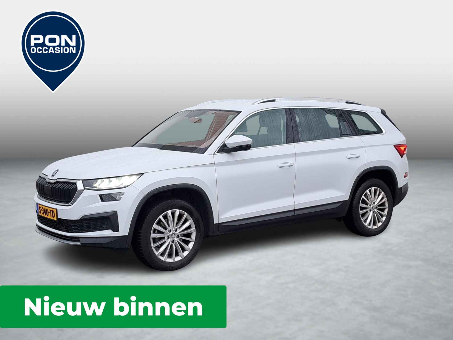 Škoda Kodiaq BOVAG 40-Puntencheck