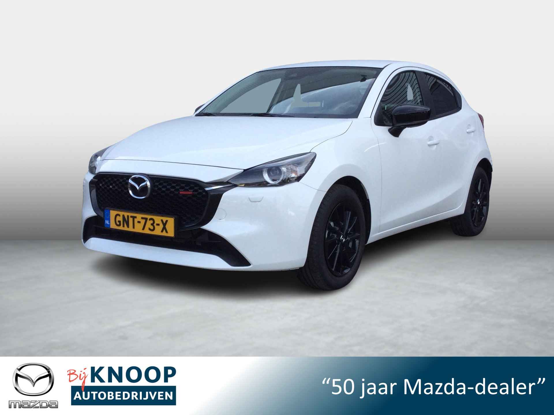 Mazda 2 BOVAG 40-Puntencheck