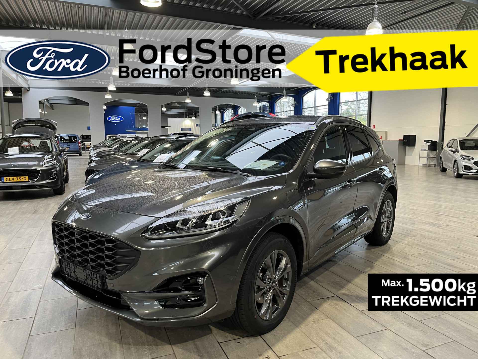 Ford Kuga BOVAG 40-Puntencheck