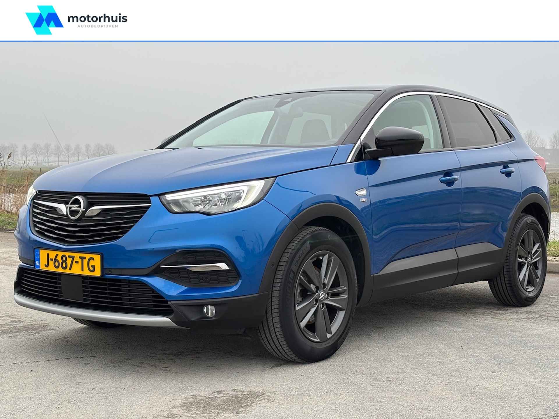 Opel Grandland X BOVAG 40-Puntencheck