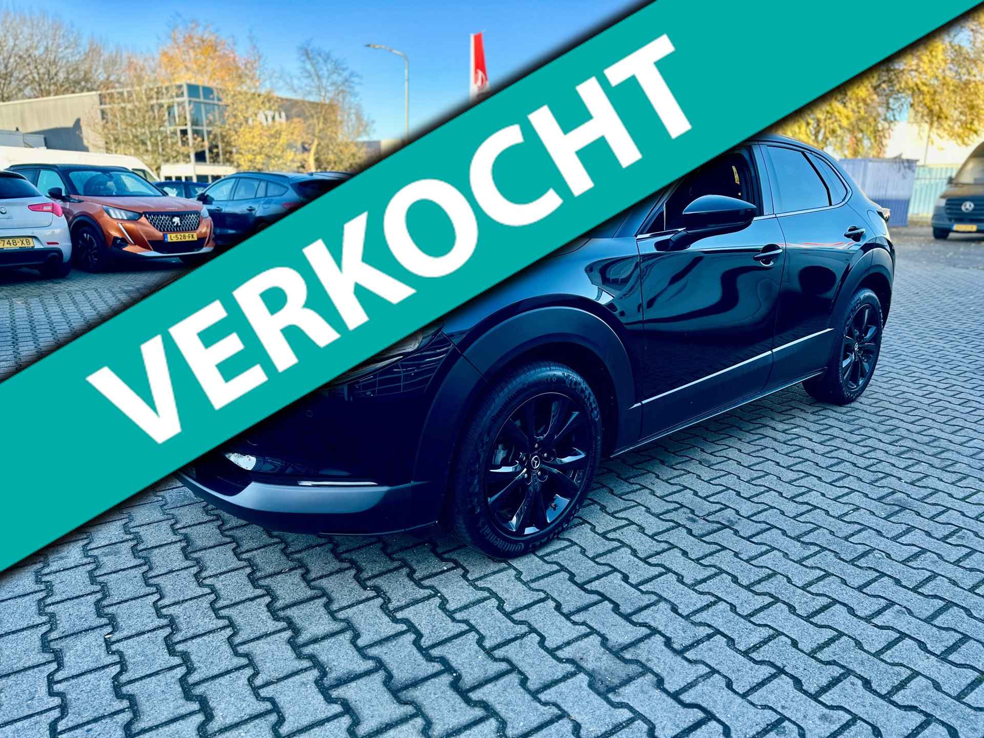 Mazda CX-30 BOVAG 40-Puntencheck