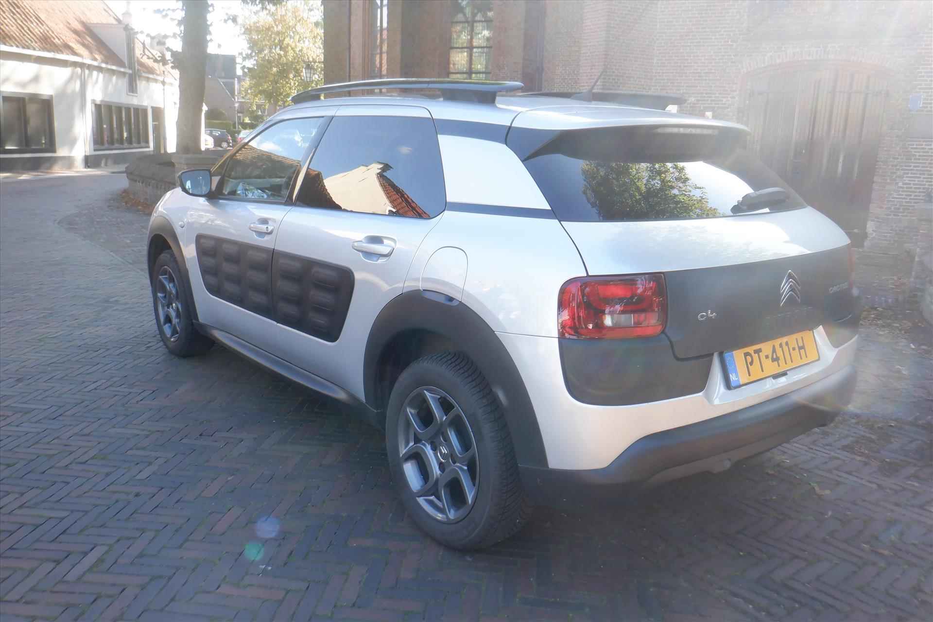 Citroen C4 Cactus PureTech 82pk Business-PAN.DAK-PDC-BOVAG - 6/19