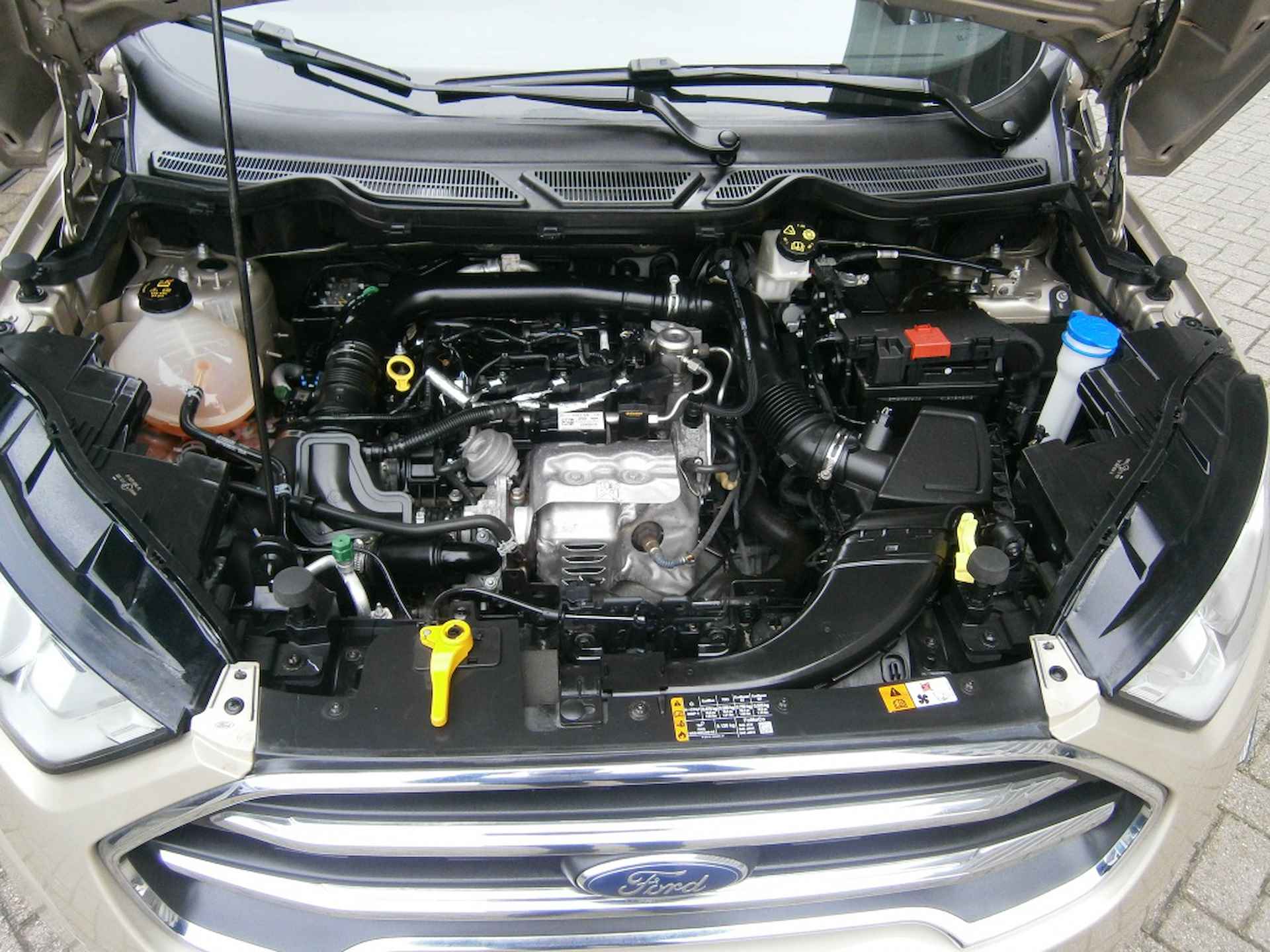 Ford EcoSport 1.0 EB Titanium Nav. camera, clim.contr.,halfleder - 15/25
