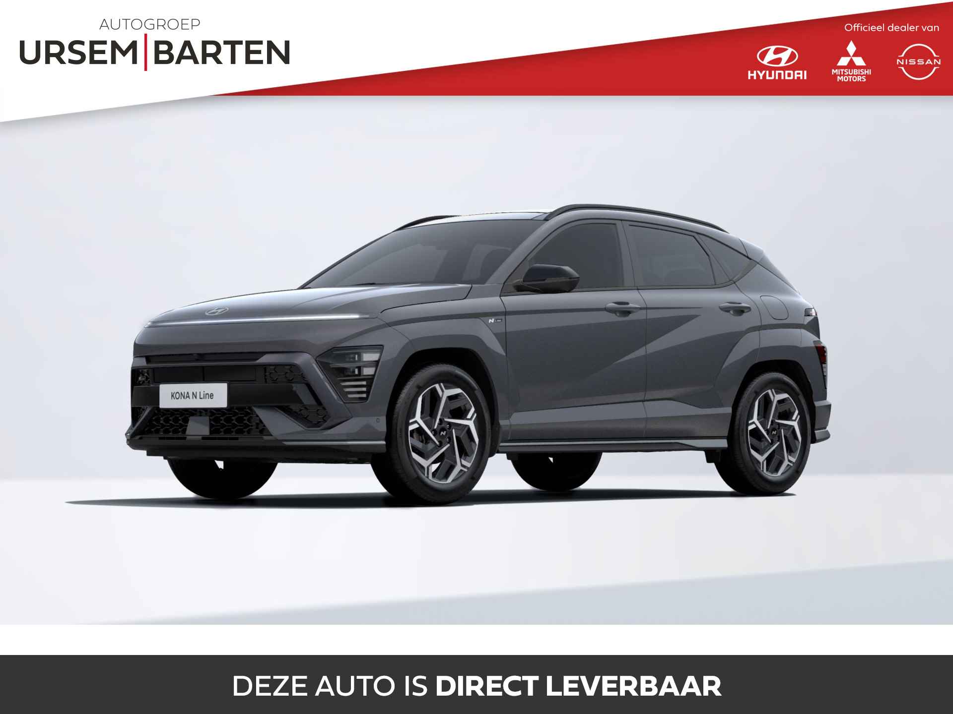 Hyundai Kona BOVAG 40-Puntencheck