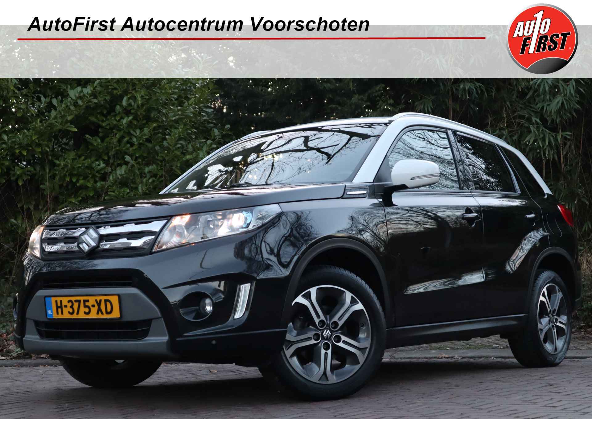 Suzuki Vitara BOVAG 40-Puntencheck