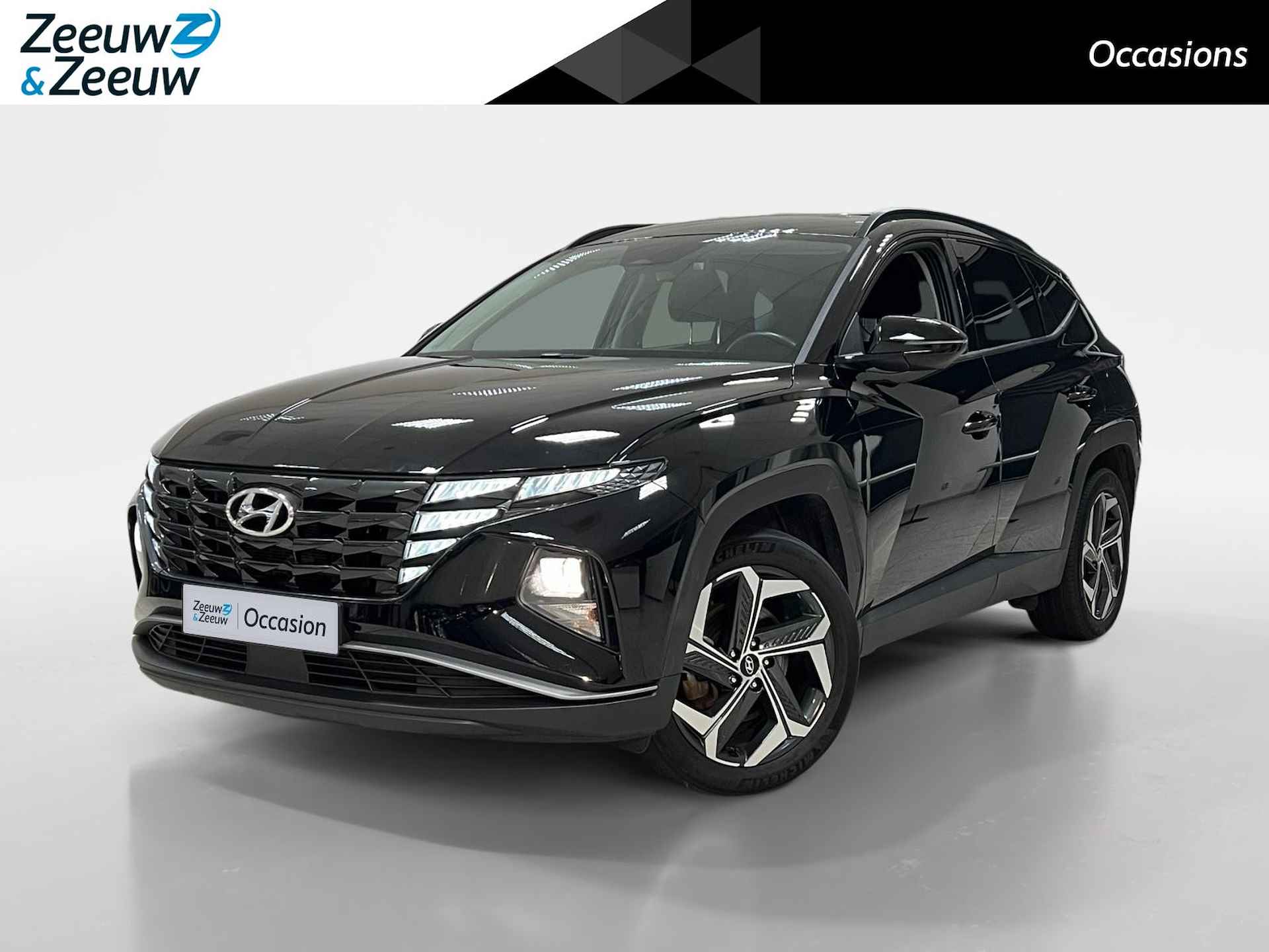 Hyundai Tucson BOVAG 40-Puntencheck