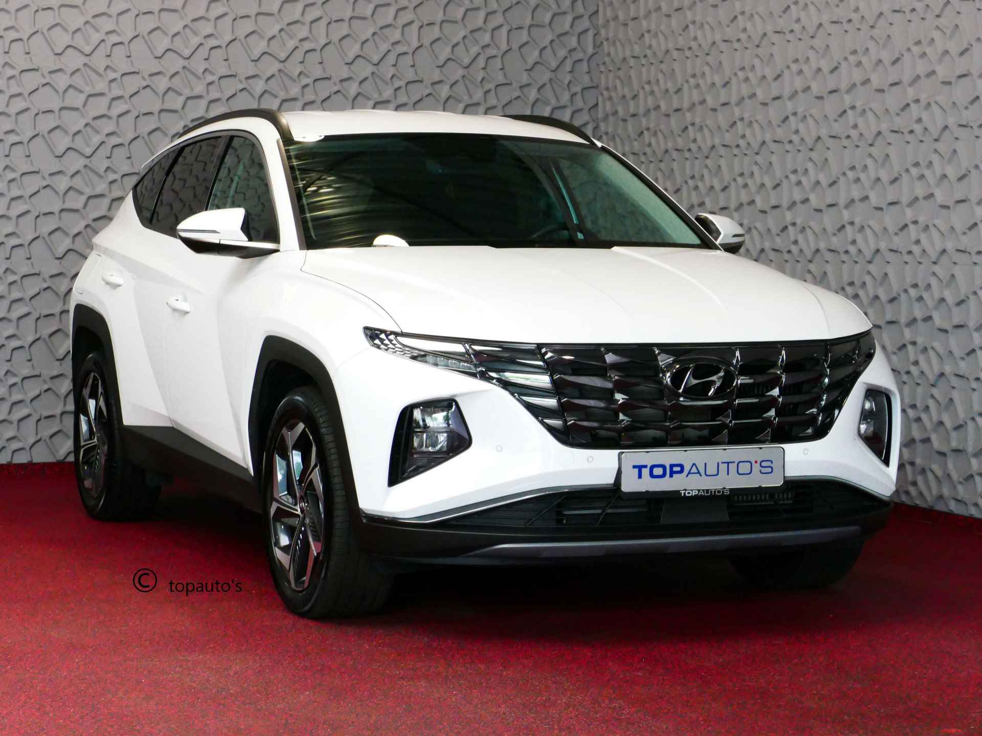 Hyundai Tucson BOVAG 40-Puntencheck