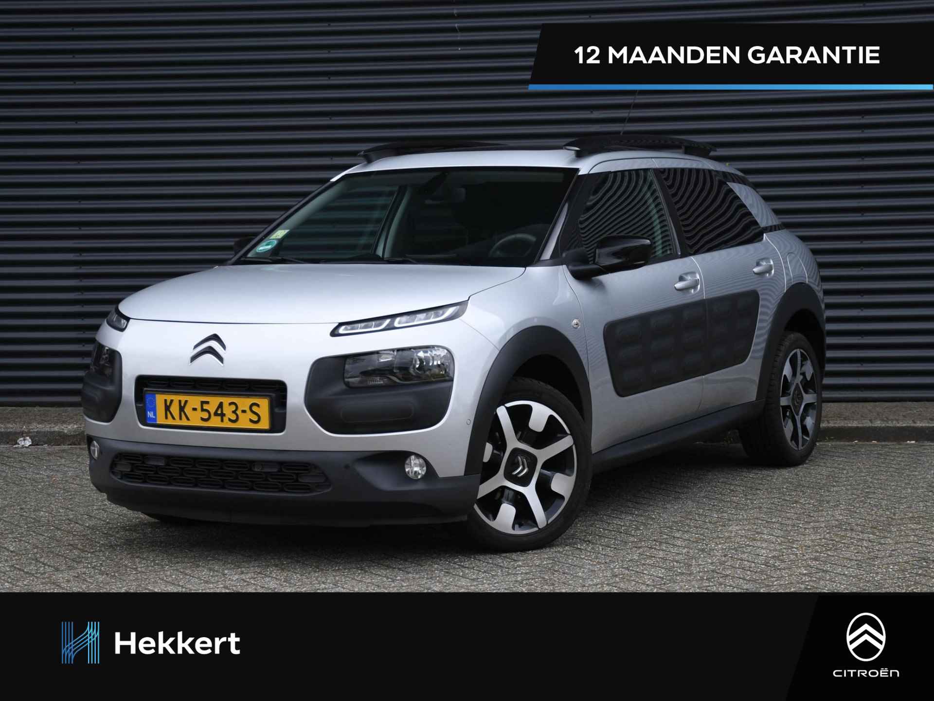 Citroën C4 Cactus BOVAG 40-Puntencheck