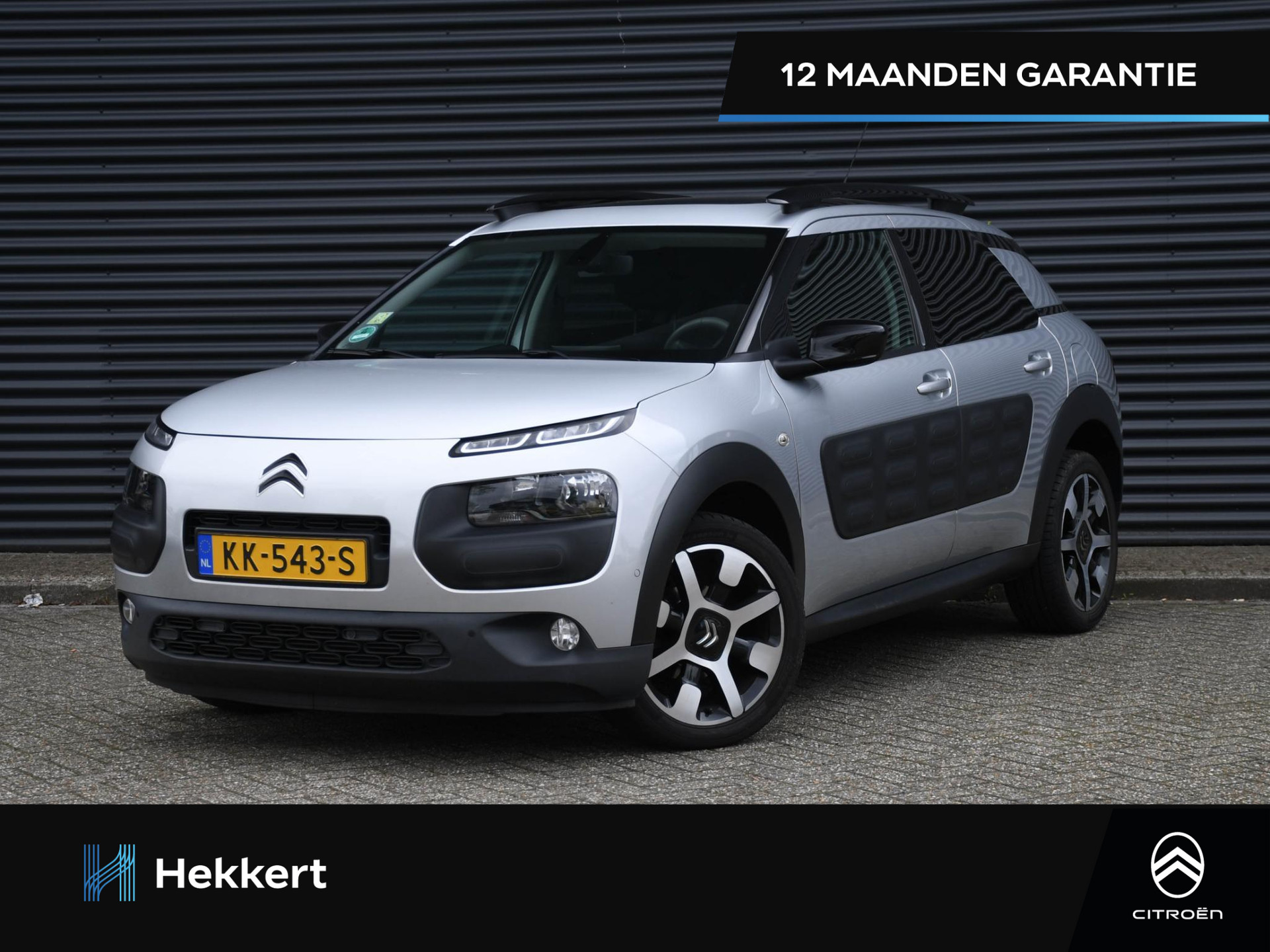 Citroen C4 Cactus Business Plus 1.2 PureTech 110pk STOELVERWARMING | 17''LM | PANO-DAK | CRUISE | DAB | CAMERA | USB | PRIVACY GLASS