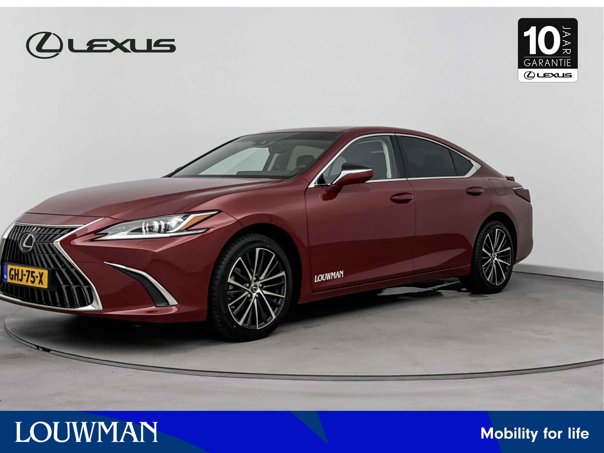 Lexus ES BOVAG 40-Puntencheck