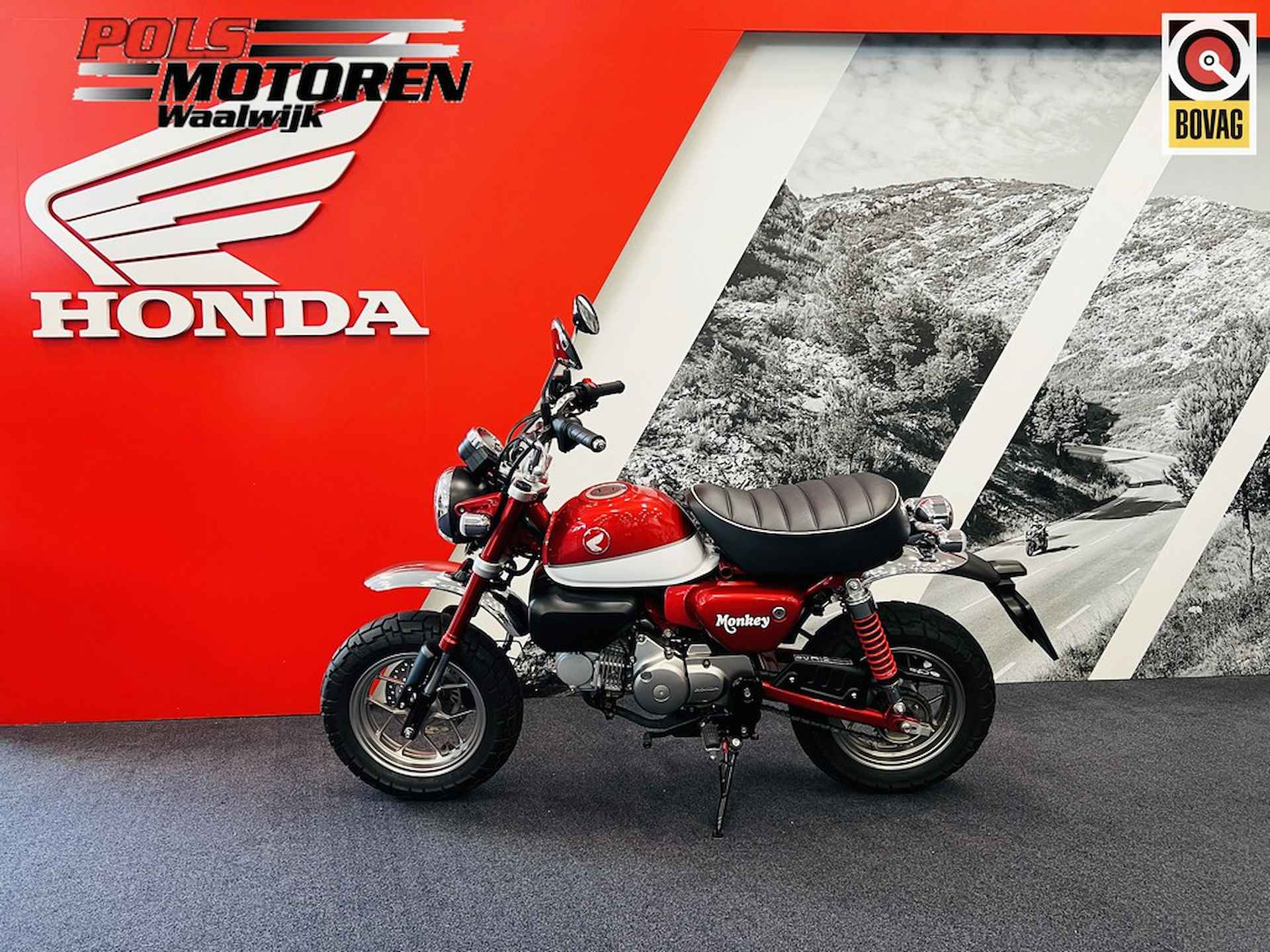 Honda Z 125 MAK MONKEY 125 - 2/19