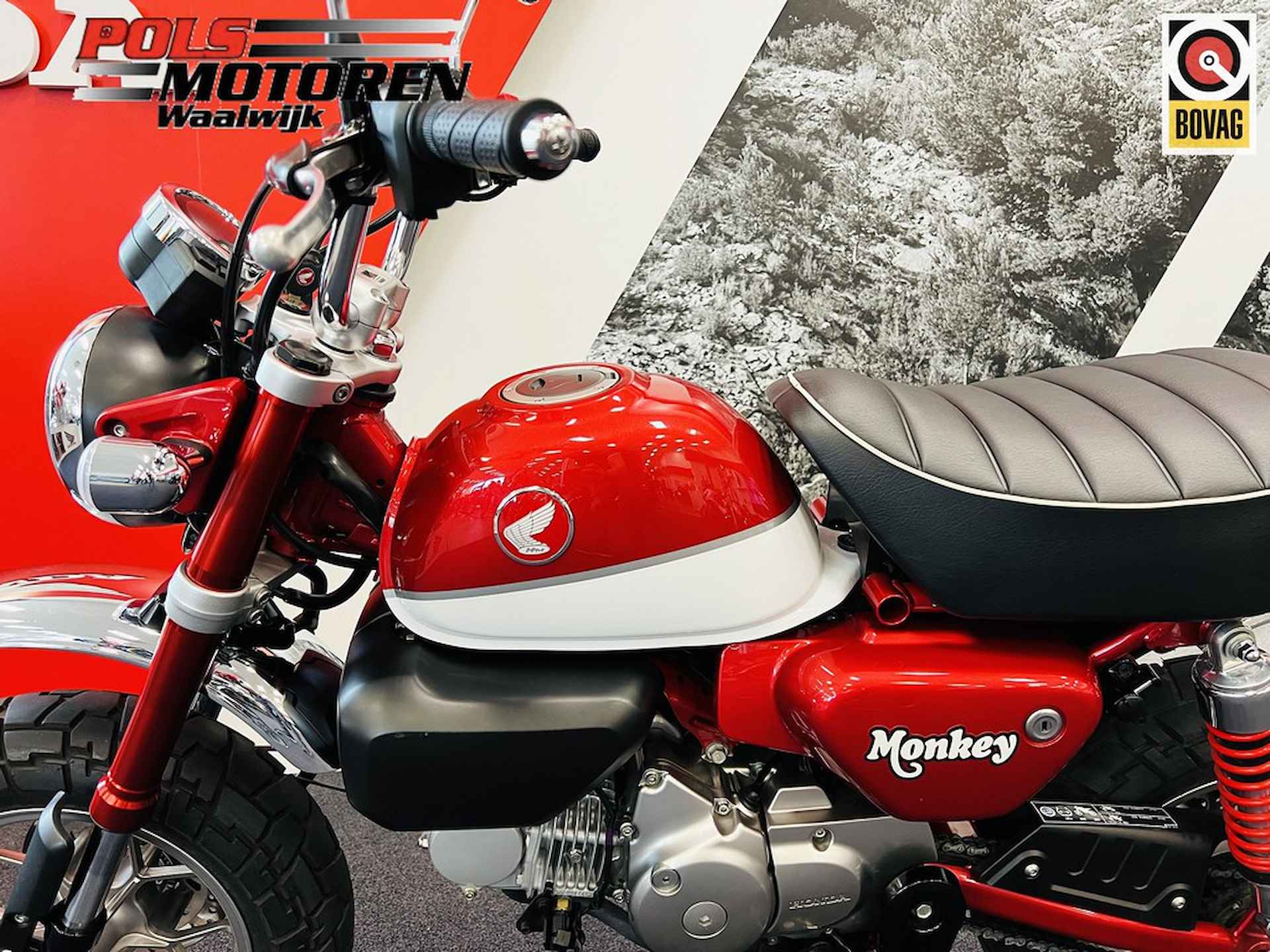 Honda Z 125 MAK MONKEY 125 - 16/19