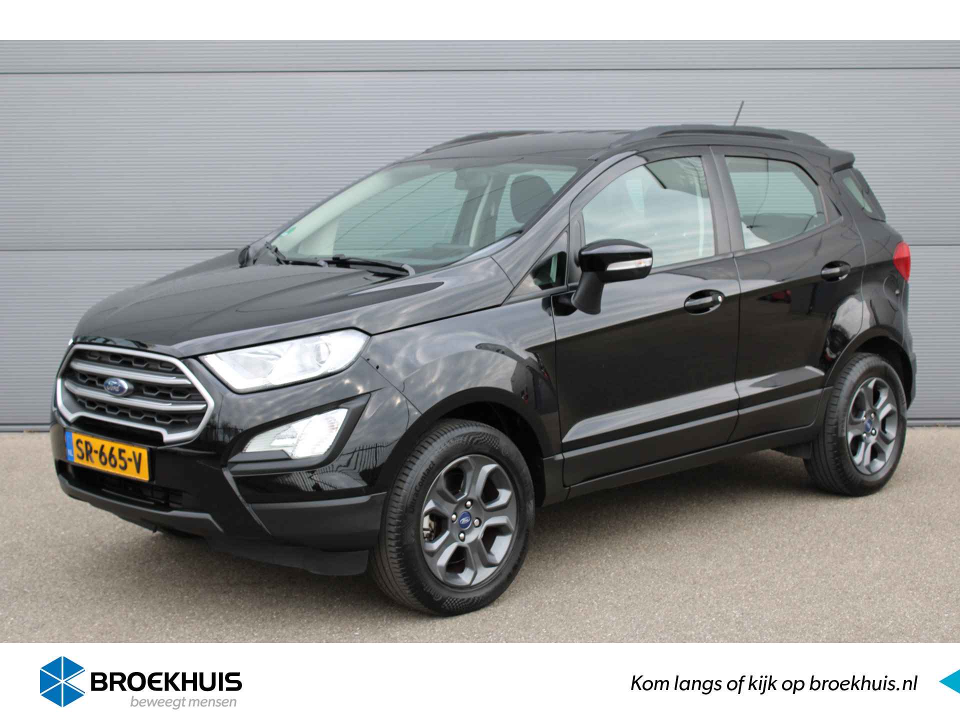 Ford EcoSport BOVAG 40-Puntencheck