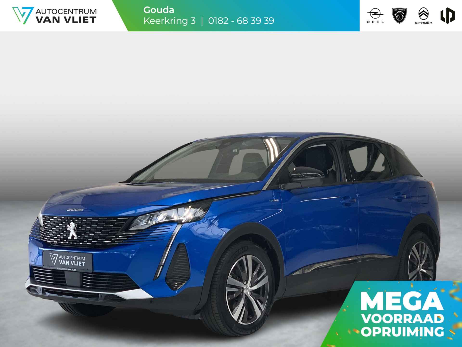 Peugeot 3008 BOVAG 40-Puntencheck