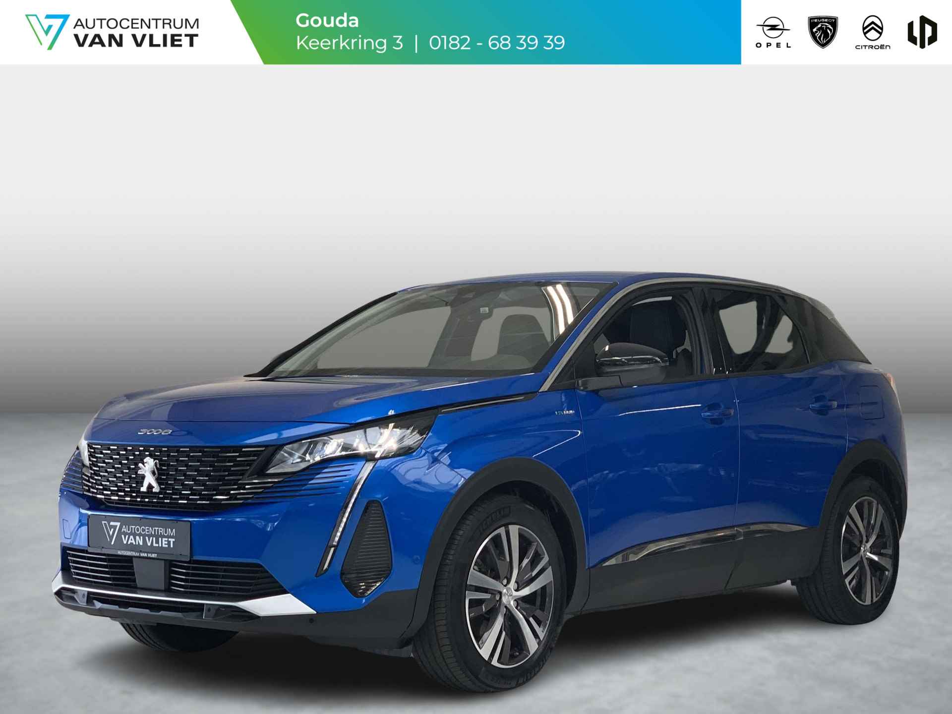 Peugeot 3008 BOVAG 40-Puntencheck