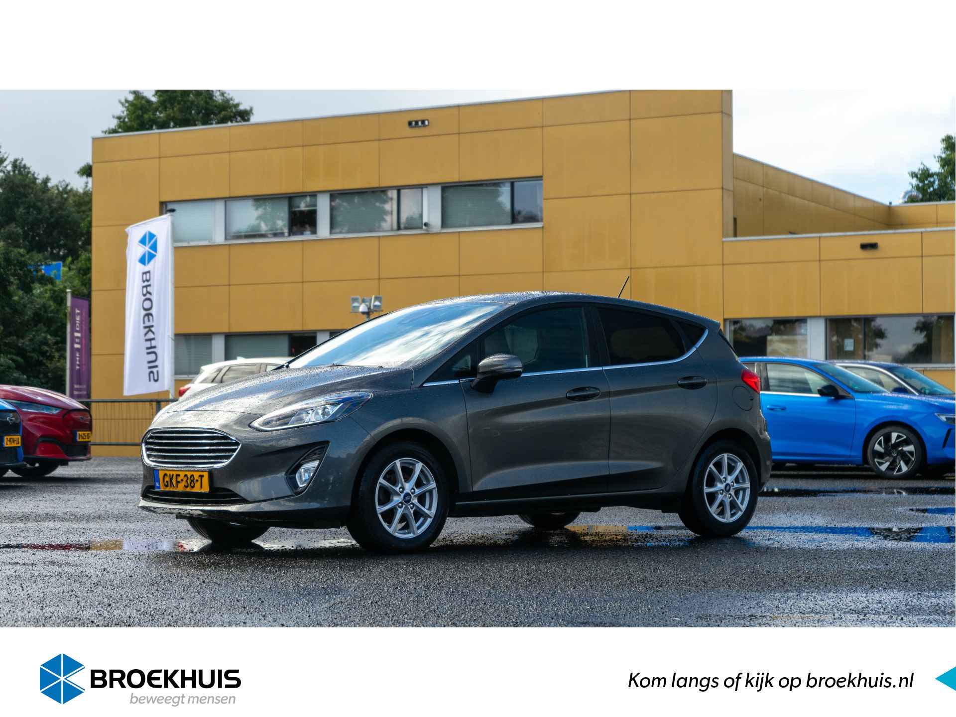 Ford Fiesta BOVAG 40-Puntencheck