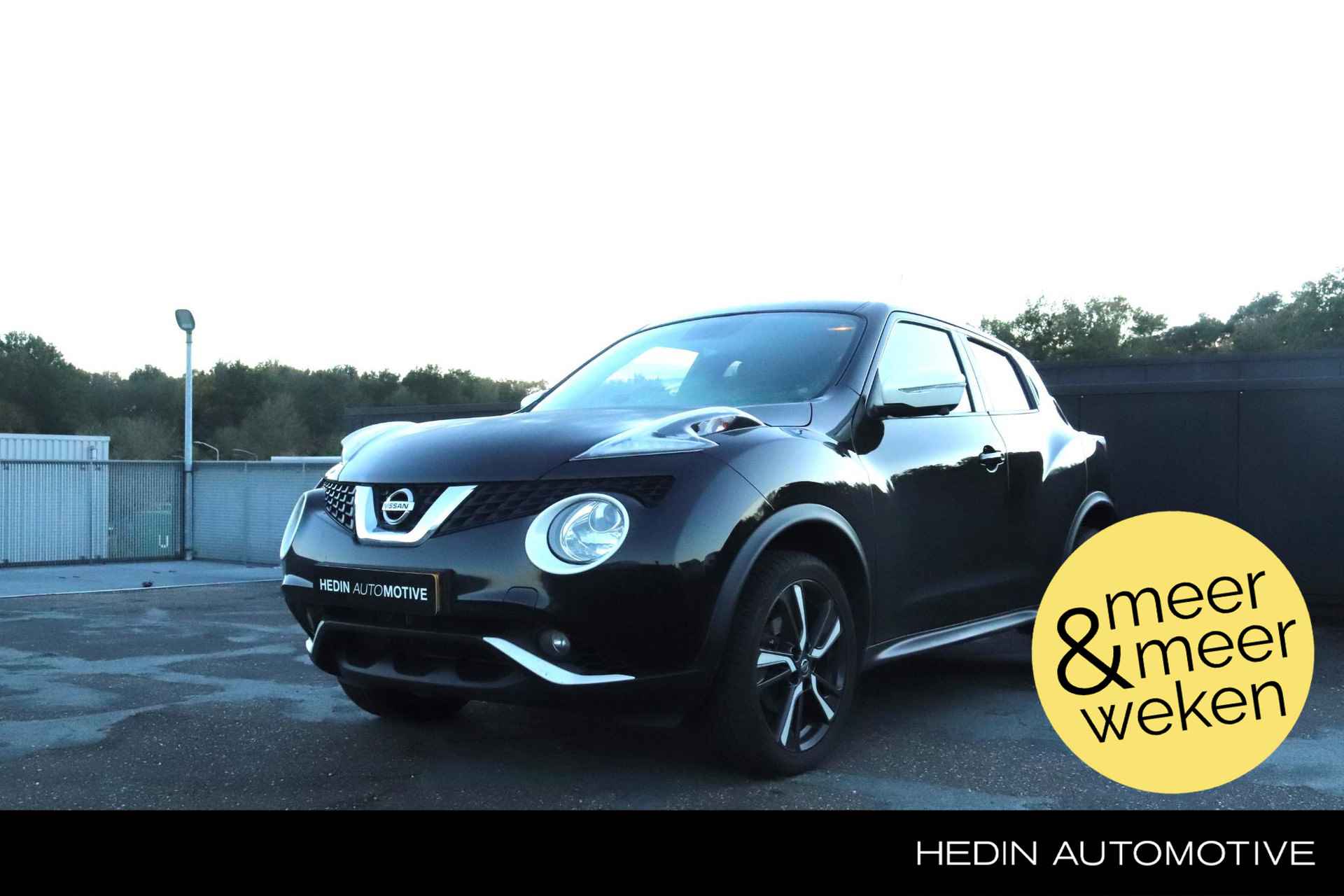 Nissan Juke BOVAG 40-Puntencheck