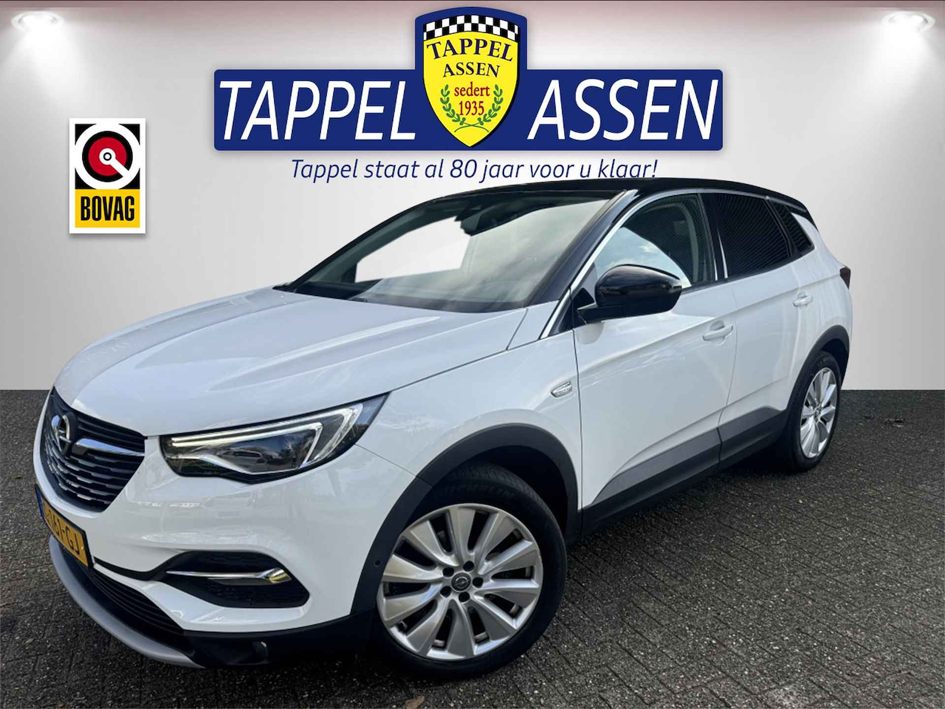 Opel Grandland X BOVAG 40-Puntencheck